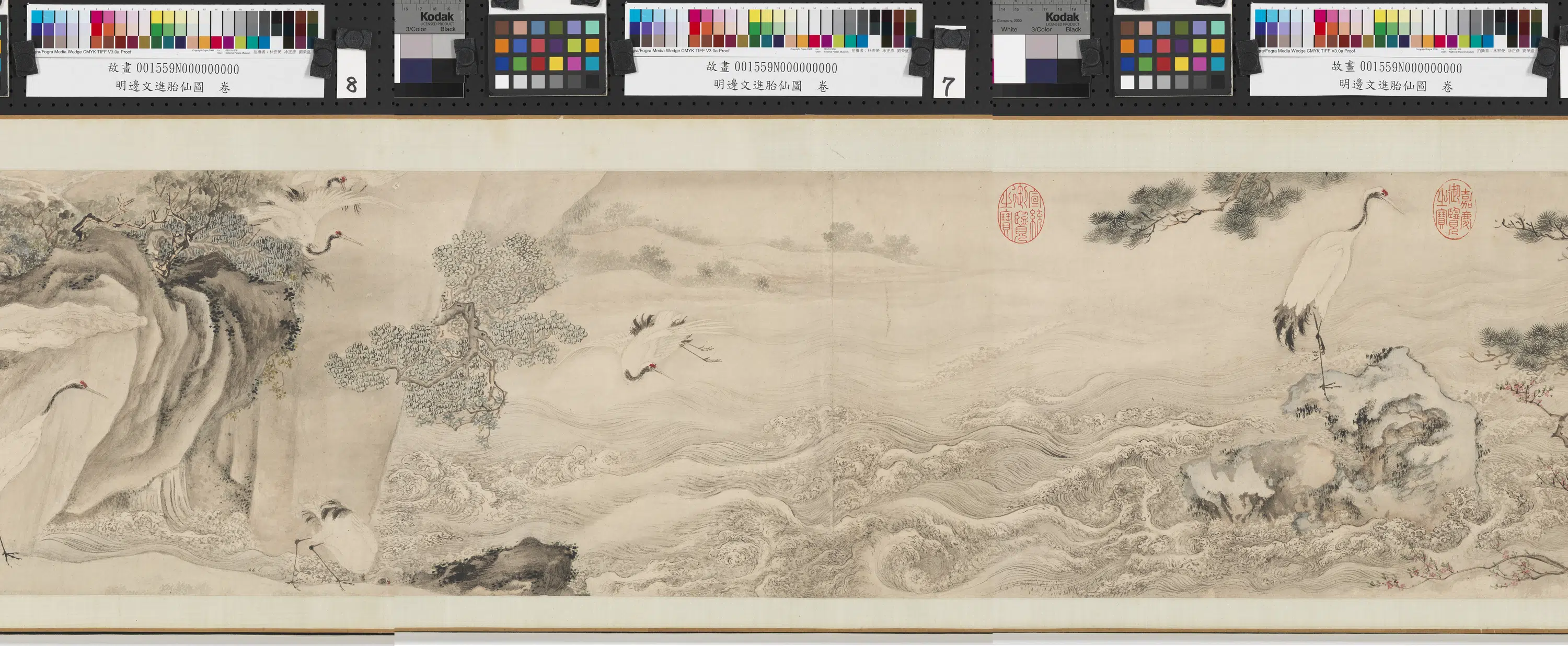 明朝【边景昭（文进）】《胎仙图卷》 第7张