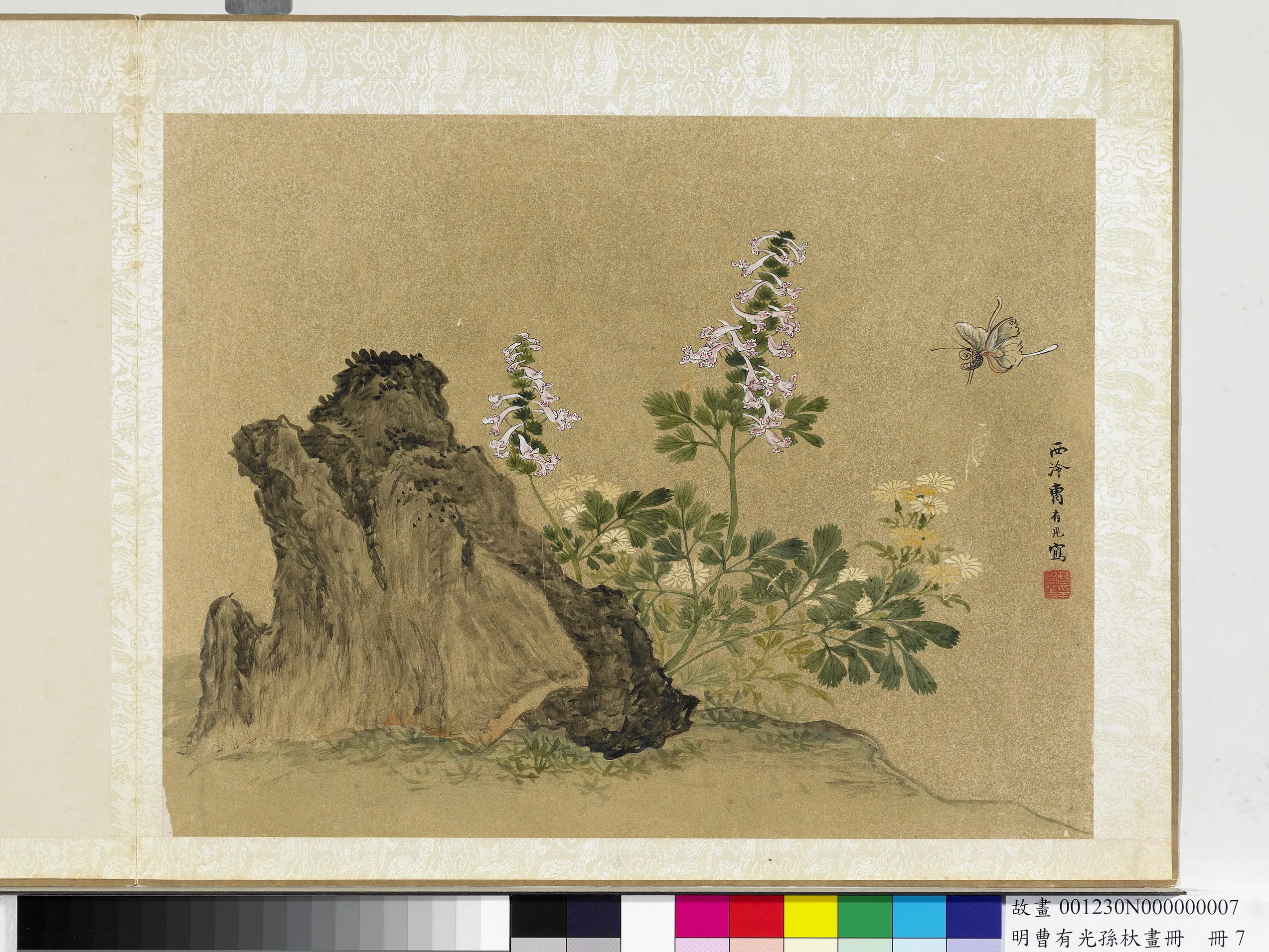 明朝【曹有光】《孙杕画册-奇石花蝶》