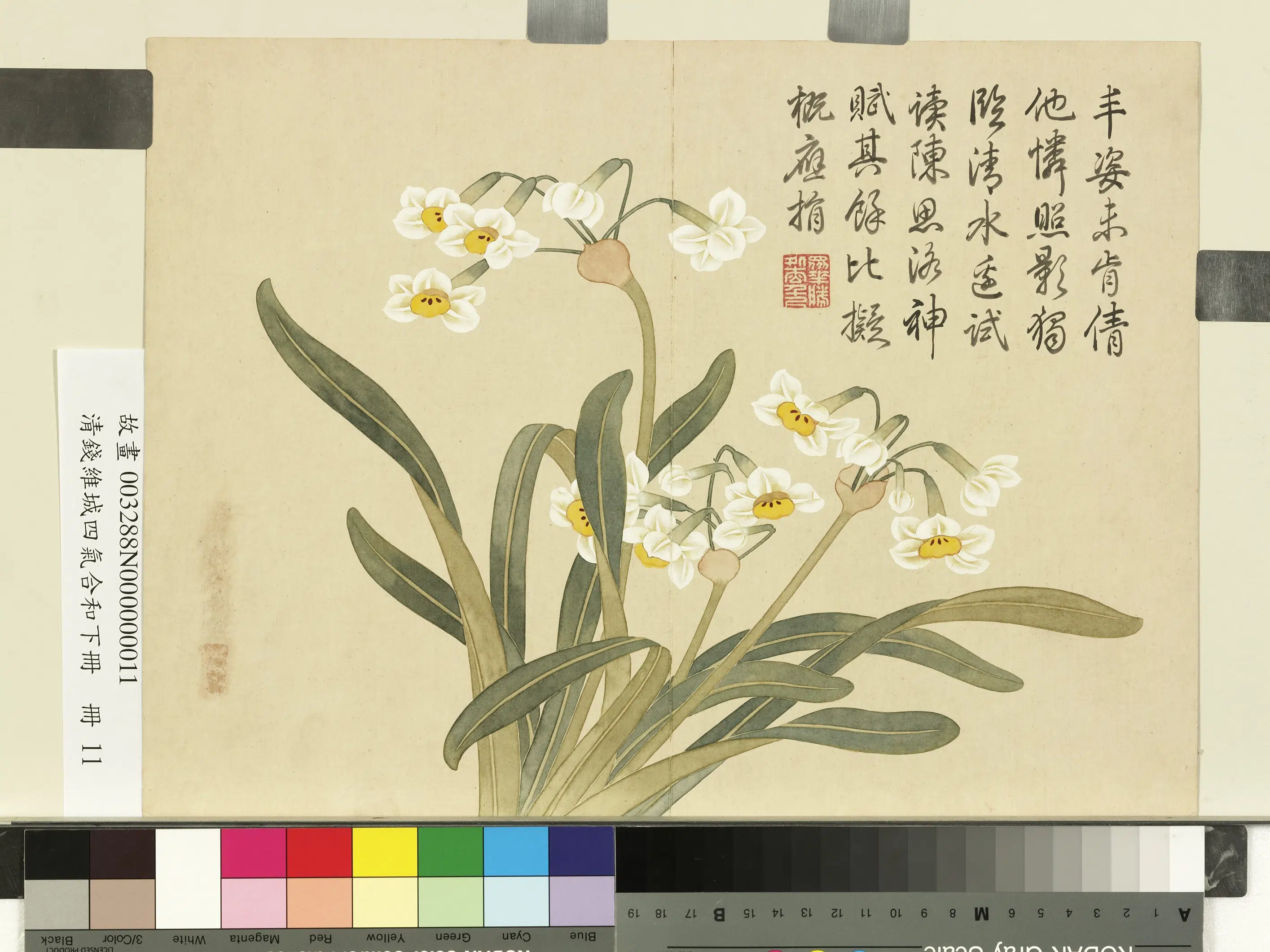 清代【钱维城】《画四气含和下册-水仙》