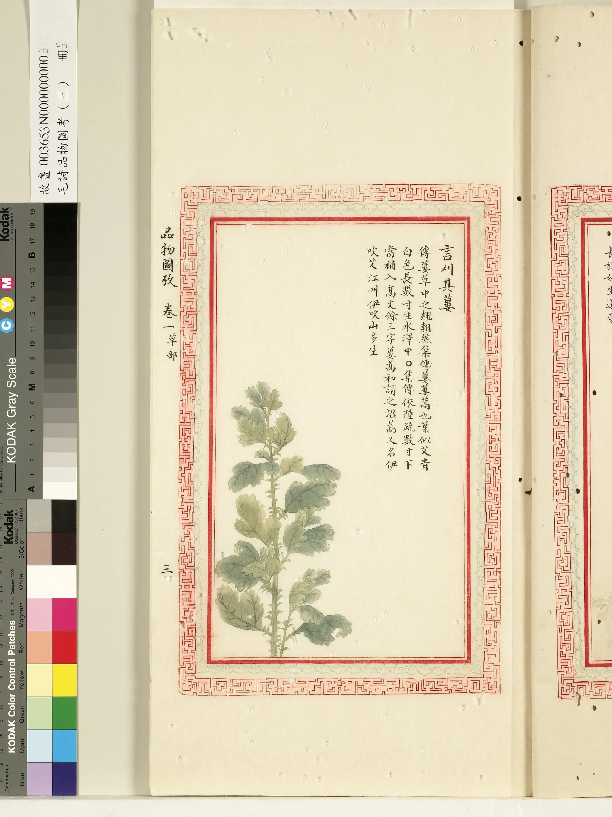 清朝【佚名】《毛诗品物图考(一)册-言刈其蒌-1》 第1张 清朝【佚名】《毛诗品物图考(一)册-言刈其蒌-1》 第1张