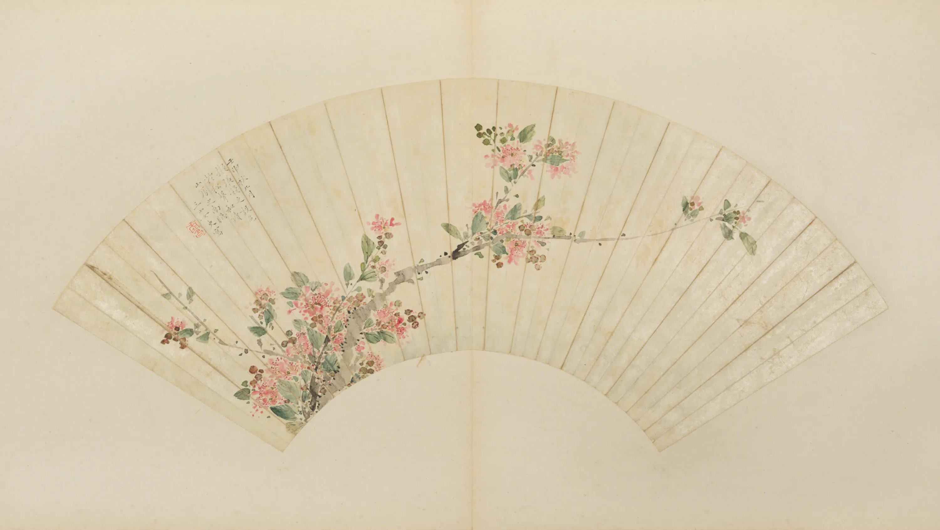 清代【蒋步瀛】《紫薇花扇页》
