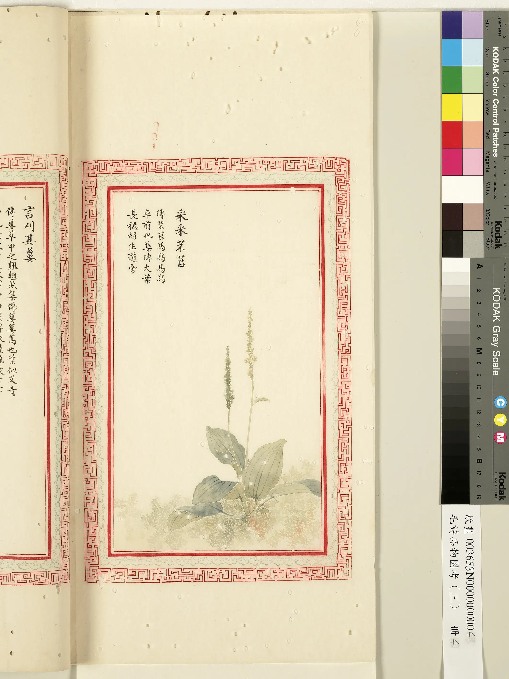 清朝【佚名】《毛诗品物图考（一）册-采采芣苢-1》 第1张