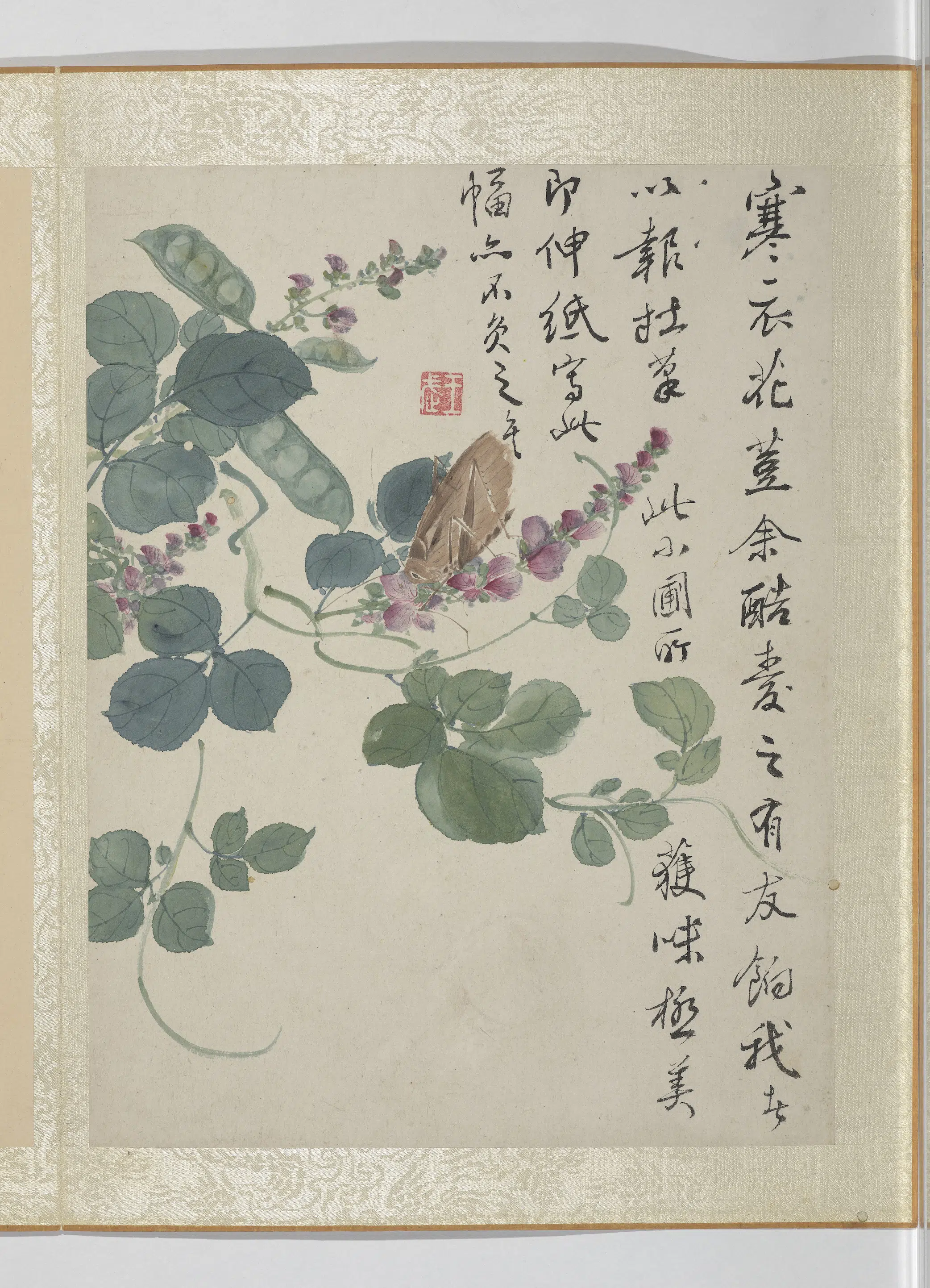 清代【王武】《花卉册》 第4张