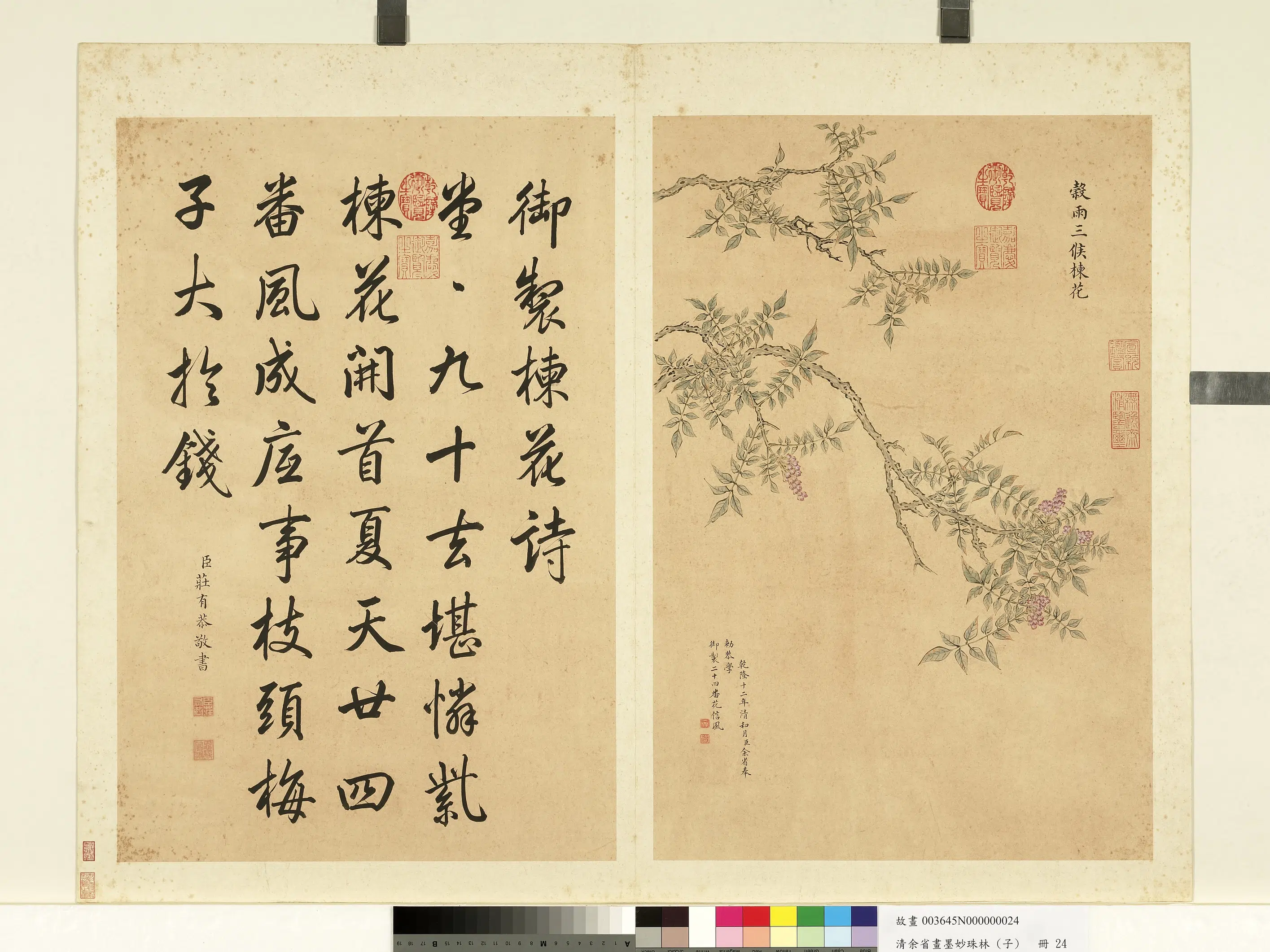 清代【余省】《画墨妙珠林（子）册》 第20张