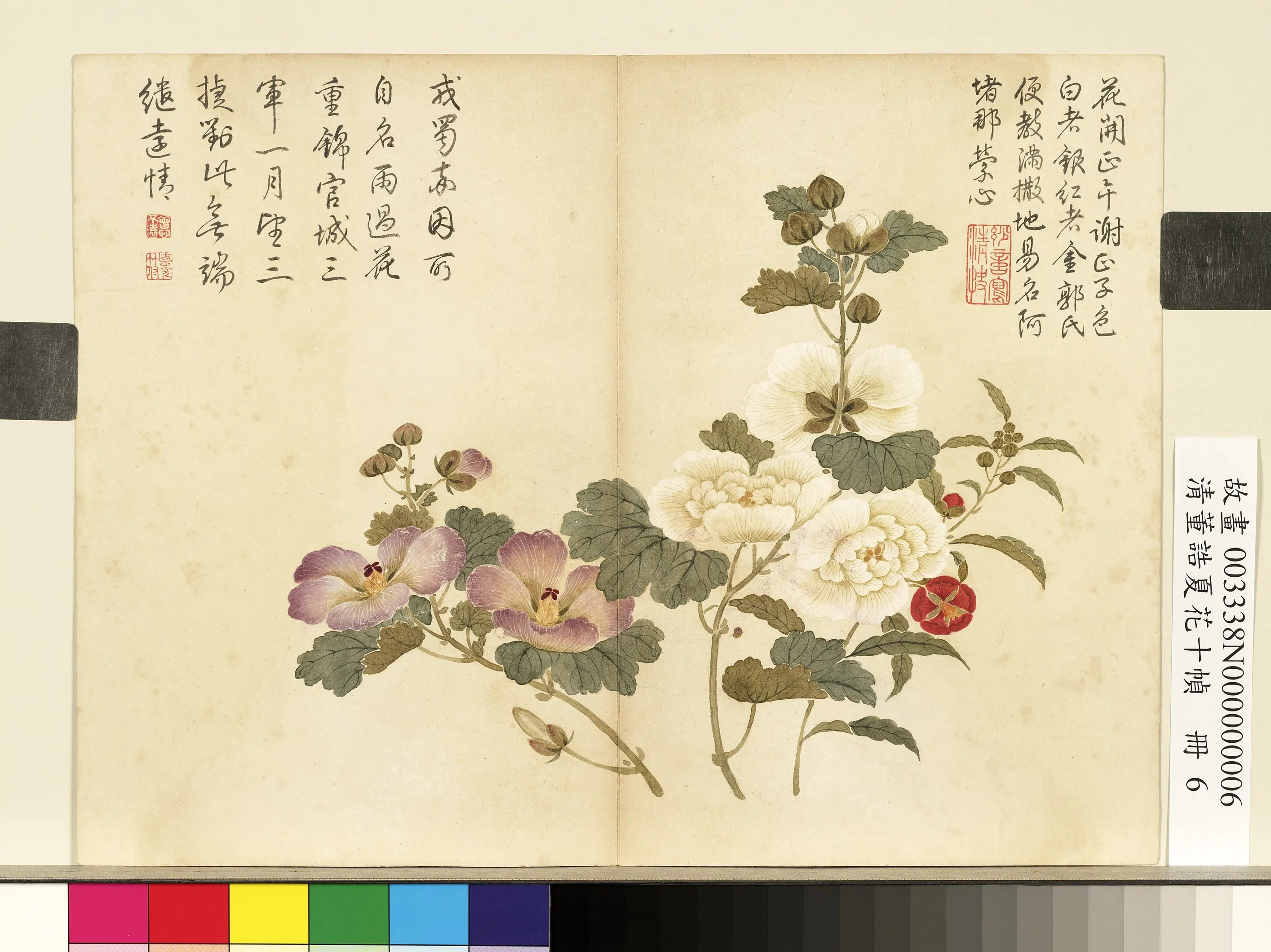 清代【董诰】《夏花十帧册-蜀葵金钱》 第1张