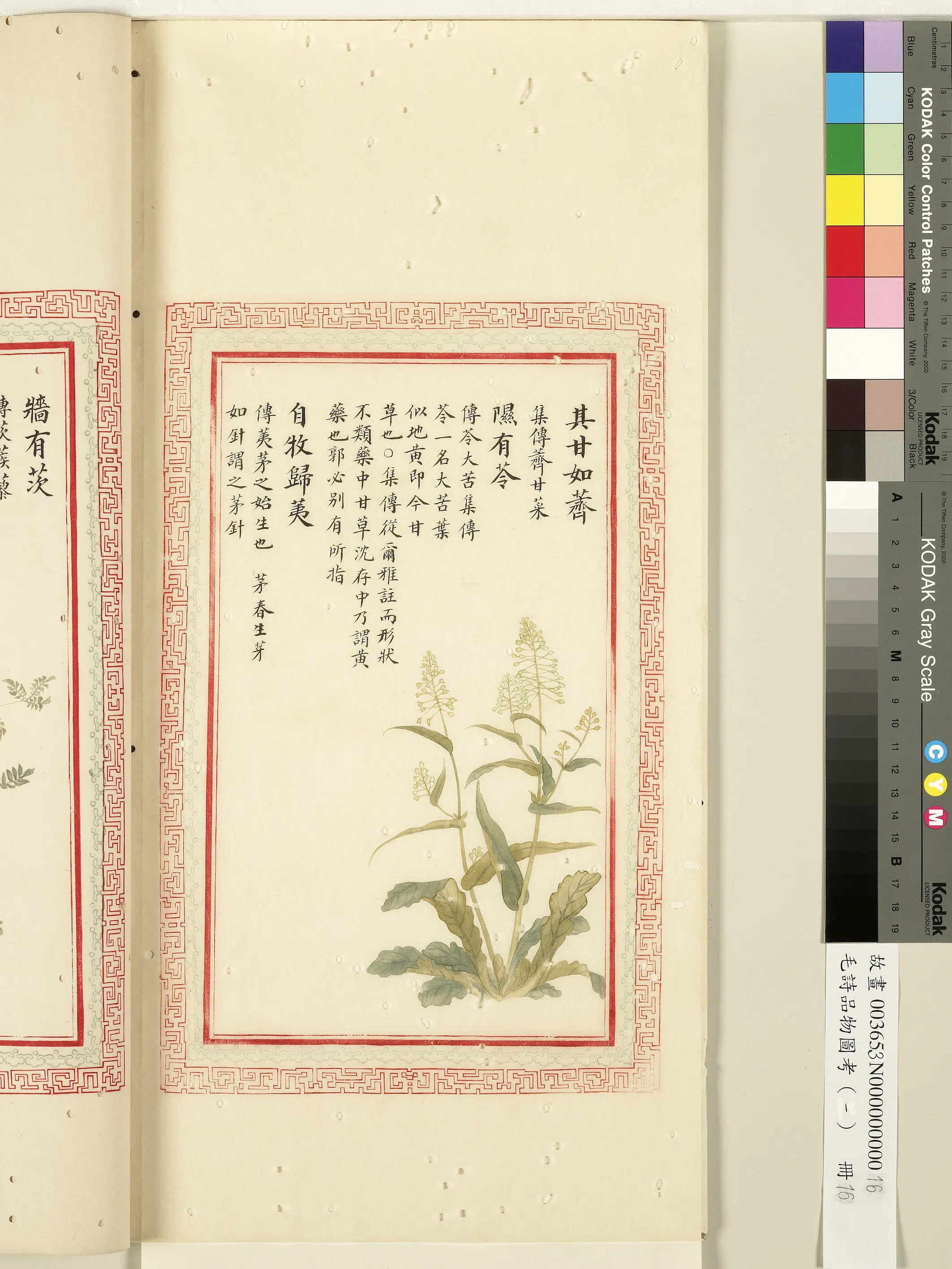 清代《毛诗品物图考(一)册-1》 第11张 清代《毛诗品物图考(一)册-1》 第11张
