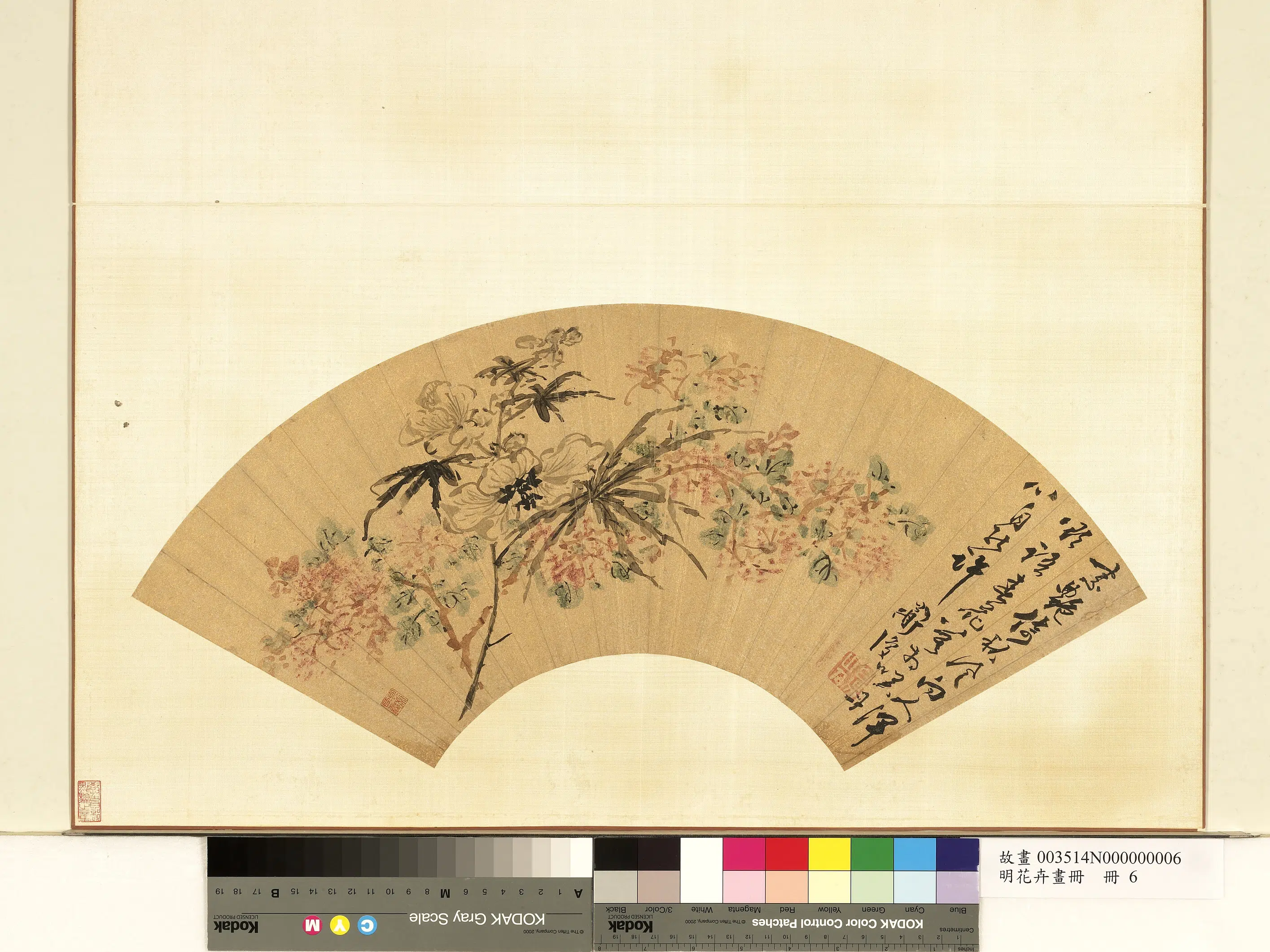 明朝《明花卉画册》 第11张