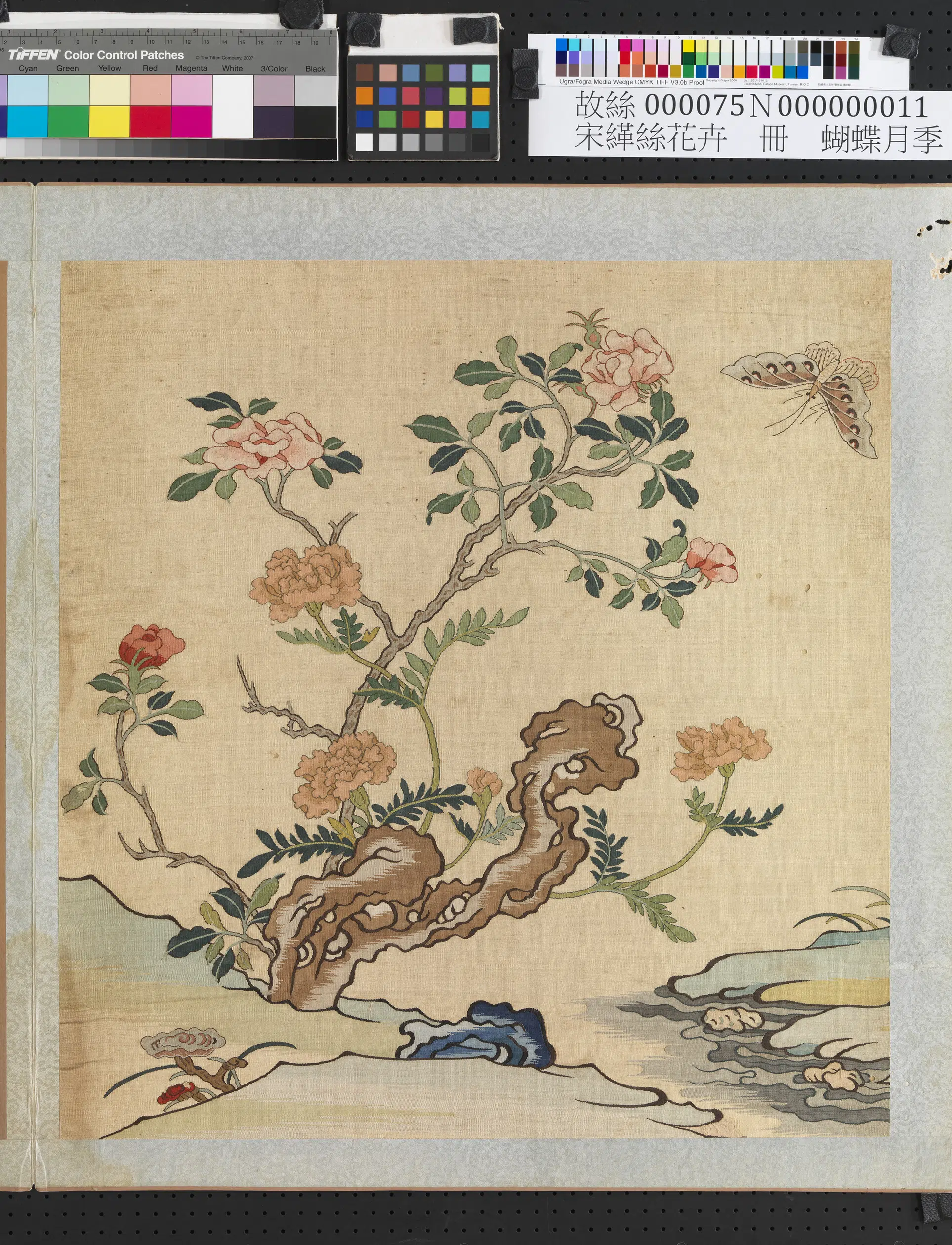 清朝【佚名】《刻丝花卉册-蝴蝶月季》 第1张 清朝【佚名】《刻丝花卉册-蝴蝶月季》 第1张