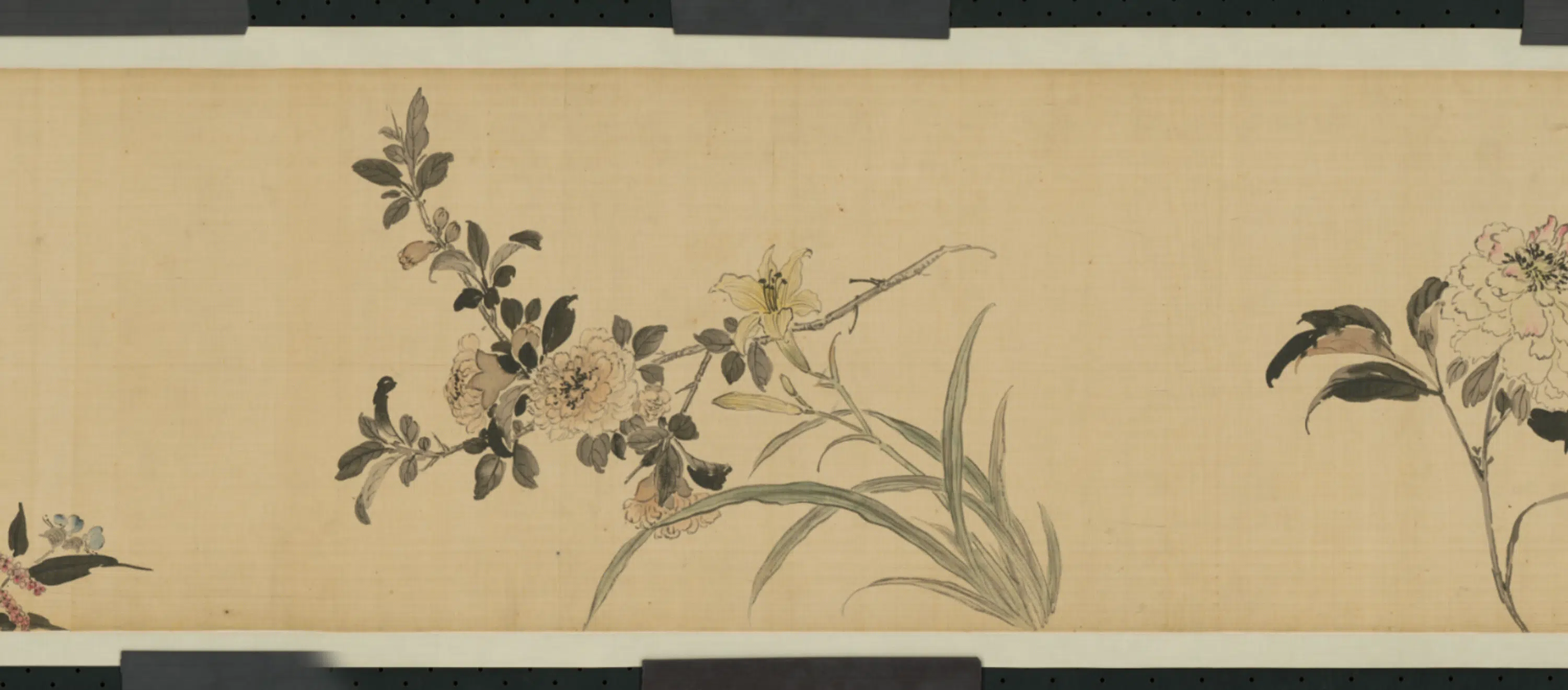 清代【蒋廷锡】《花卉图卷》 第4张