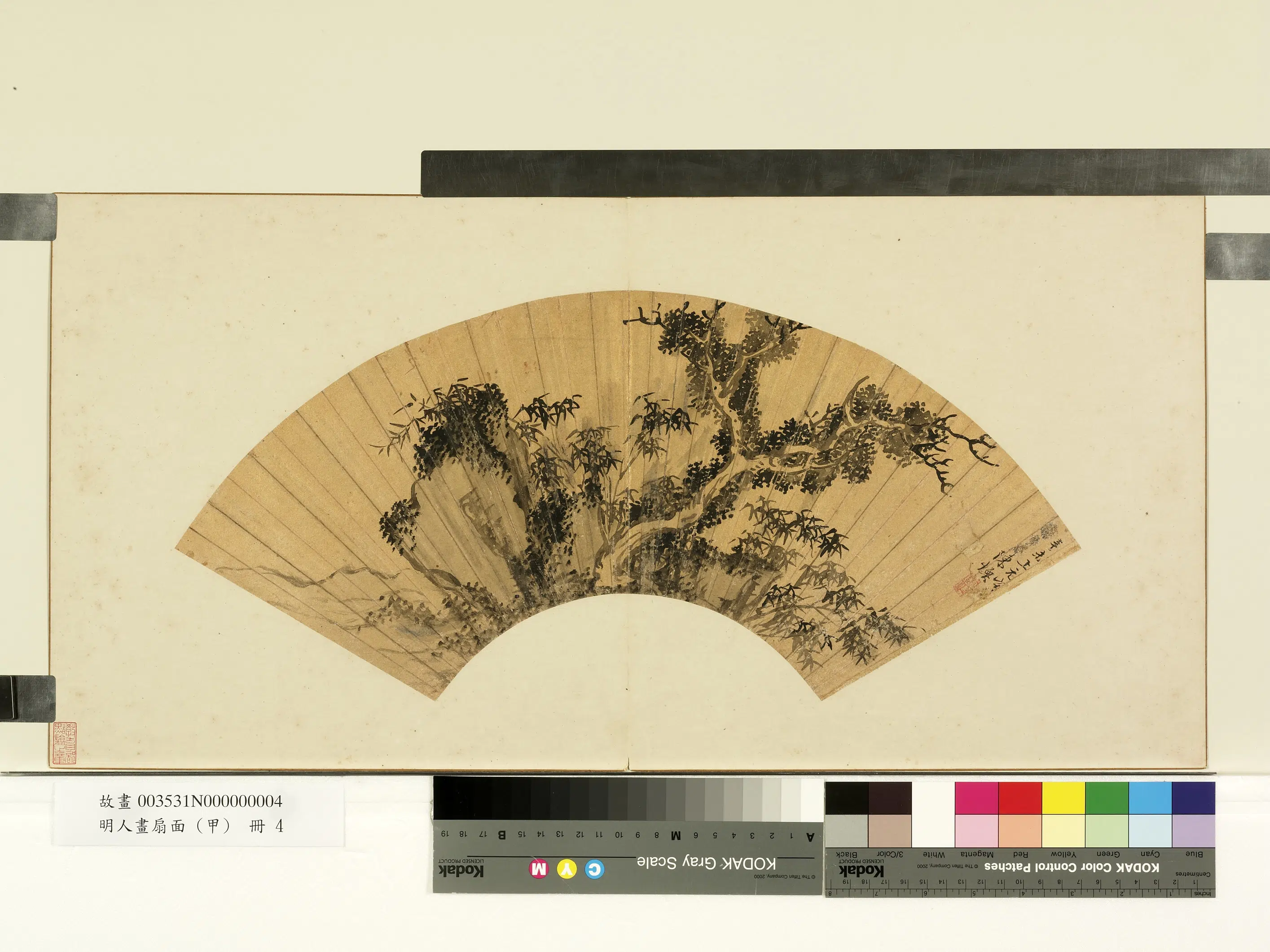 明朝【陈焕】《明人画扇面(甲)册-画竹》
