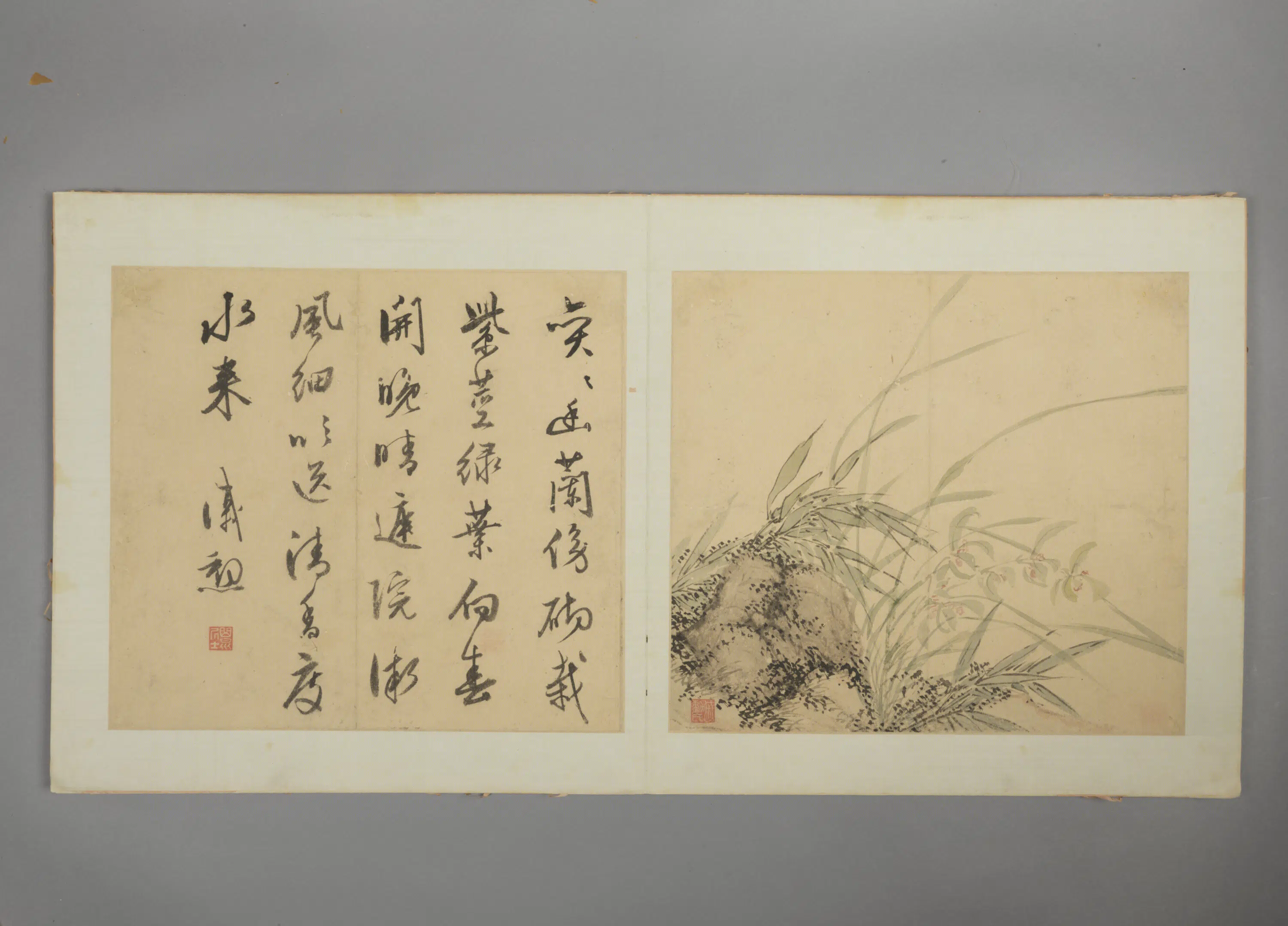明朝【戚勋】《花卉册》 第5张