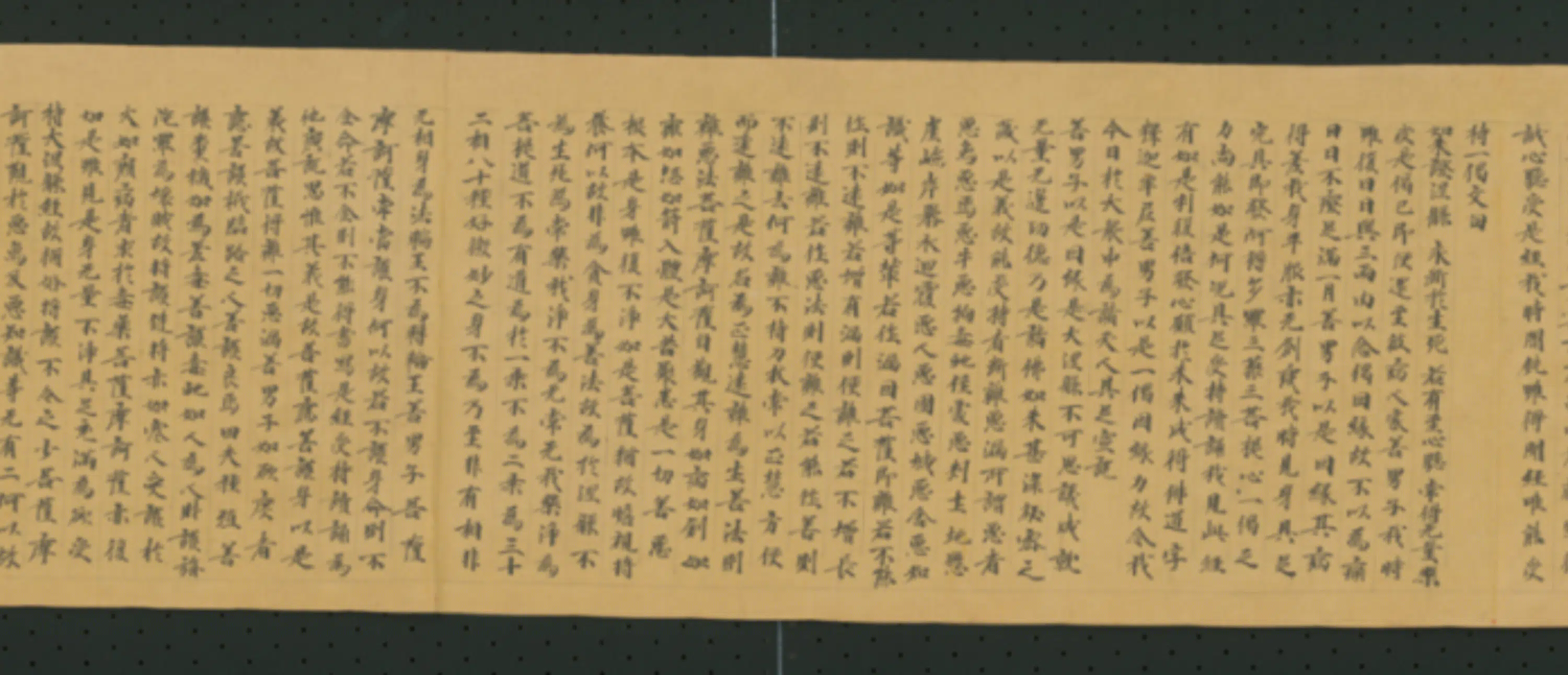 唐朝《无款行书写大湼槃经德王菩萨品二十二卷》 第5张