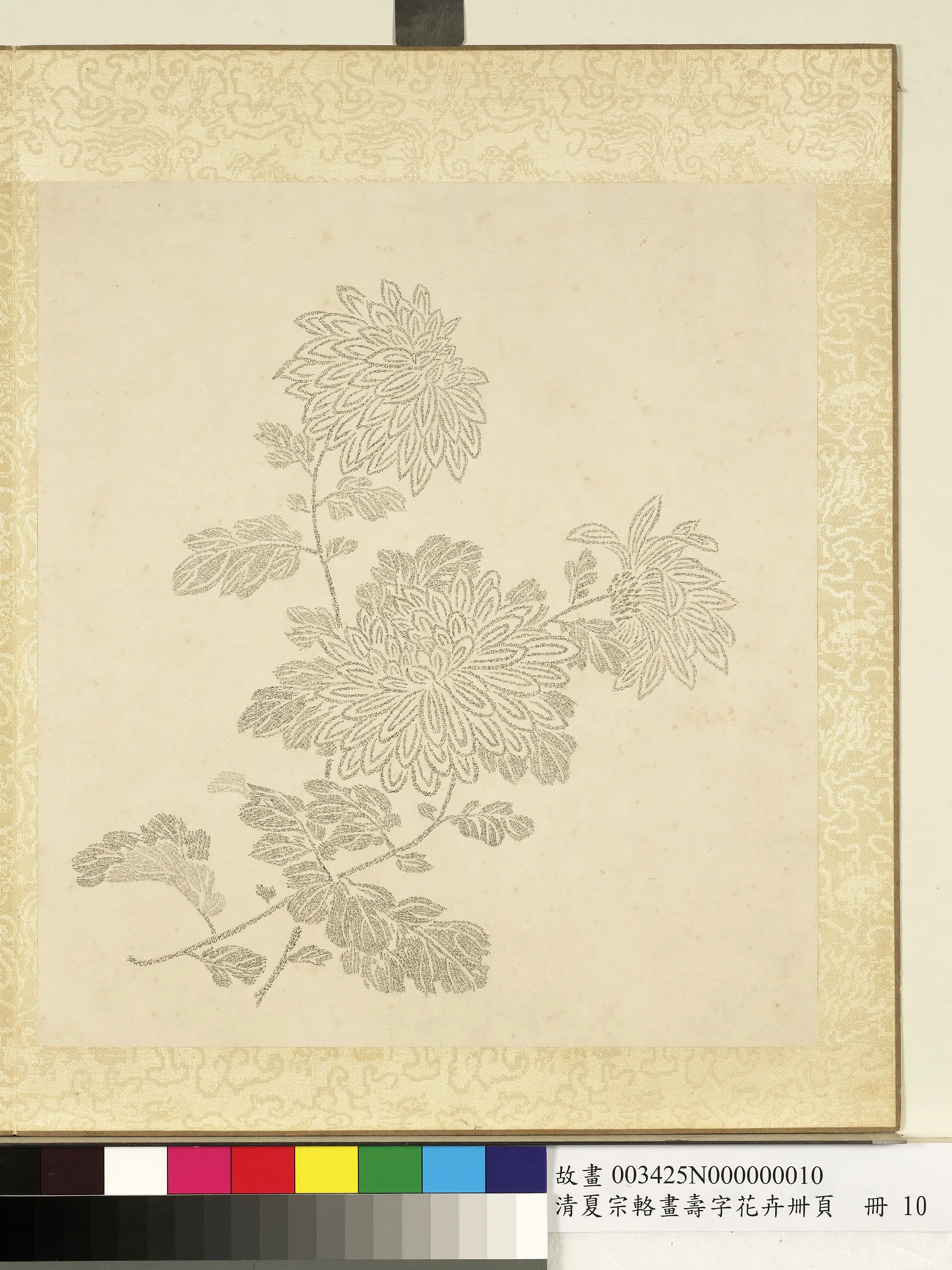 清代【夏宗辂】《画寿字花卉册页册》 第10张 清代【夏宗辂】《画寿字花卉册页册》 第10张