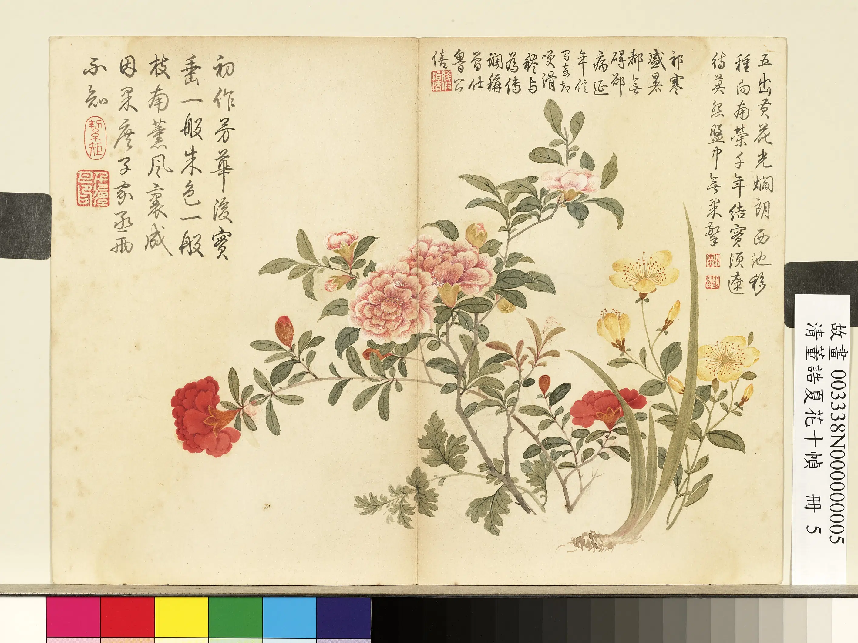 清代【董诰】《夏花十帧册图-10开》 第5张