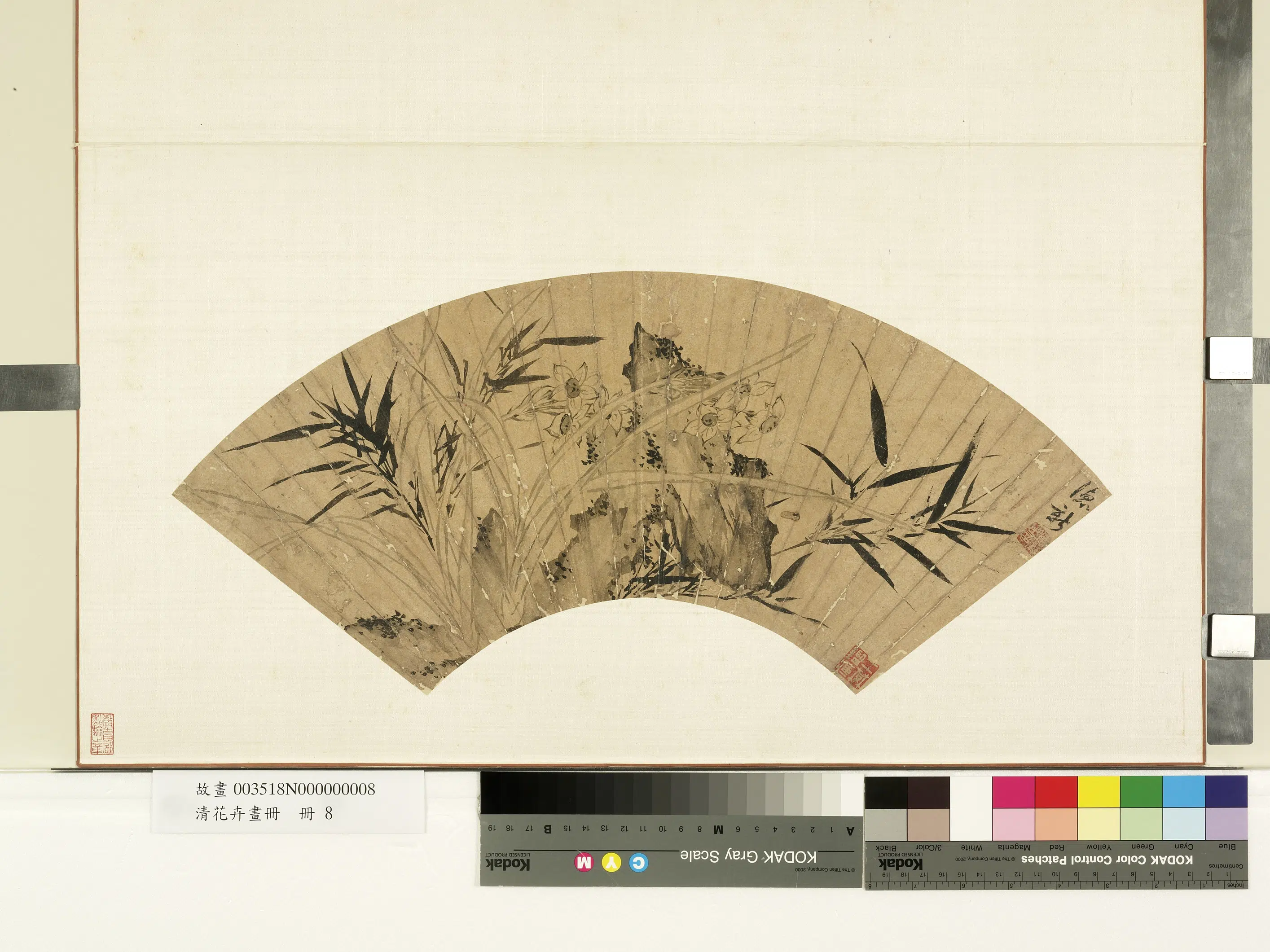 明朝【项德新】《花卉画册-墨竹水仙》