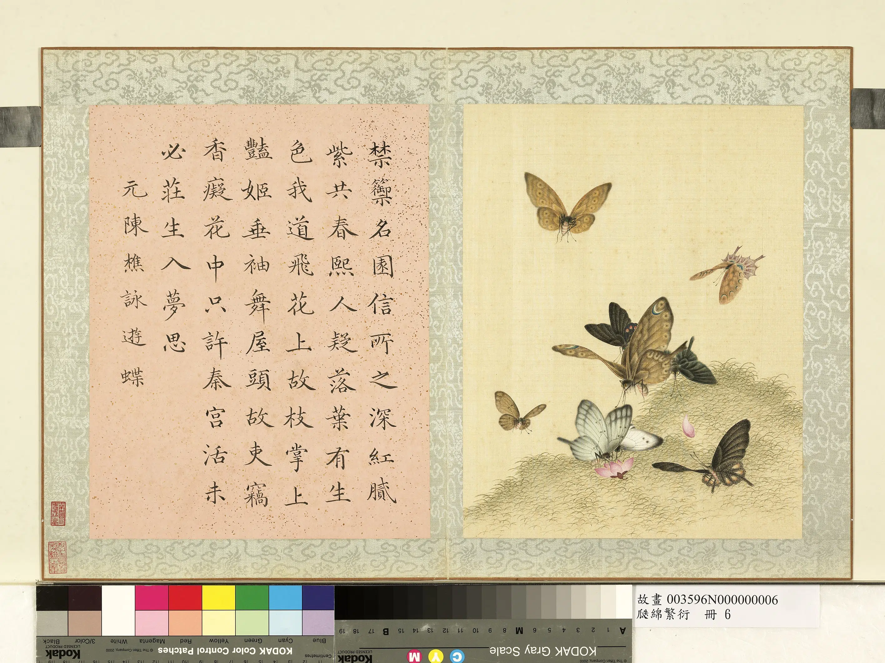 《瓞绵繁衍册-画元陈樵咏游蝶》