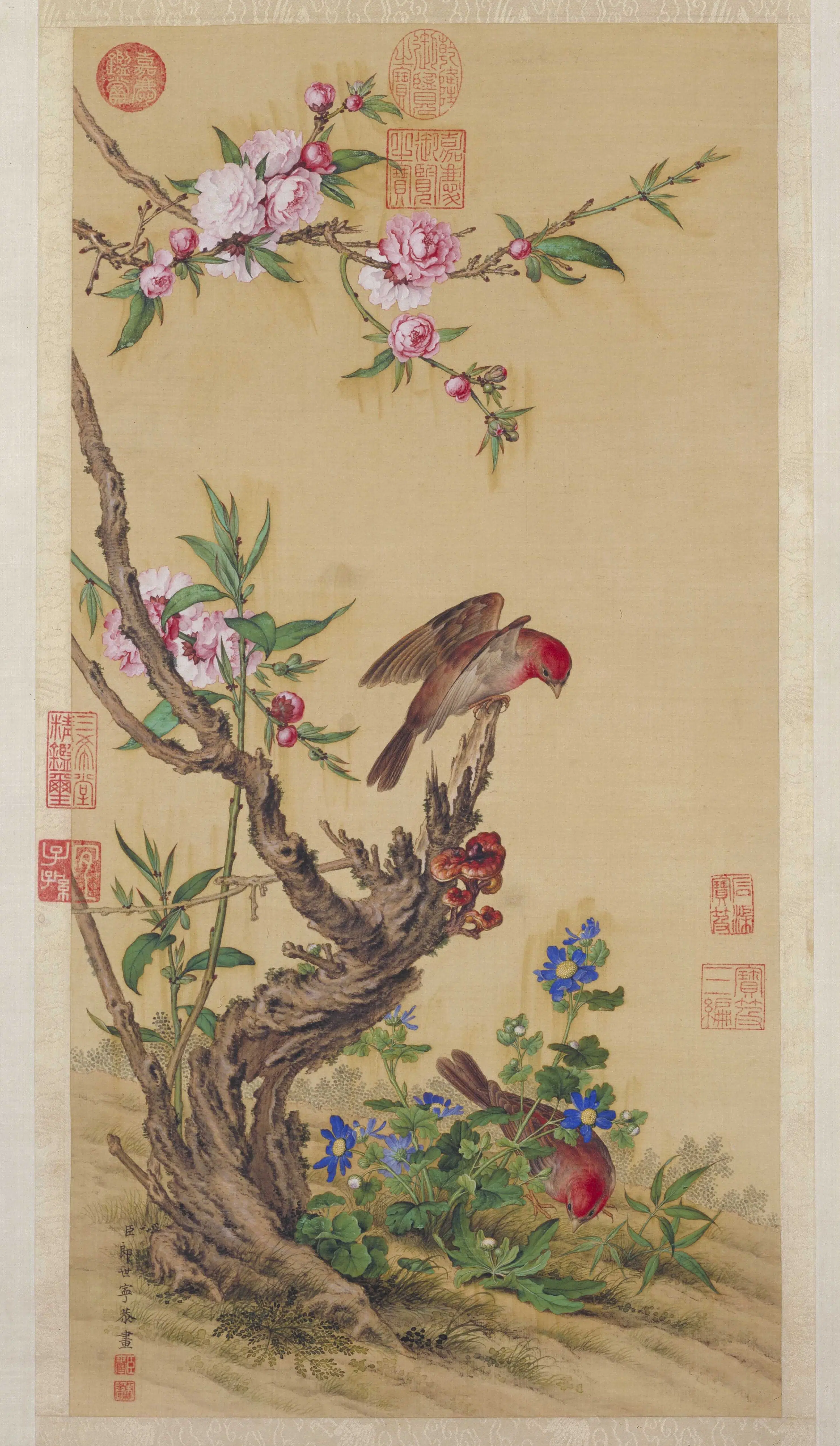 清代【郎世宁】《花鸟图》