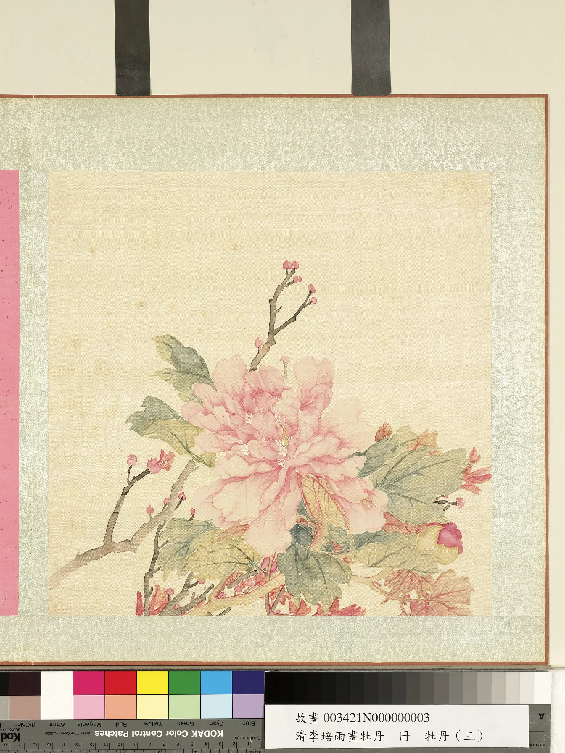 清代【李培雨】《画牡丹册》 第3张 清代【李培雨】《画牡丹册》 第3张