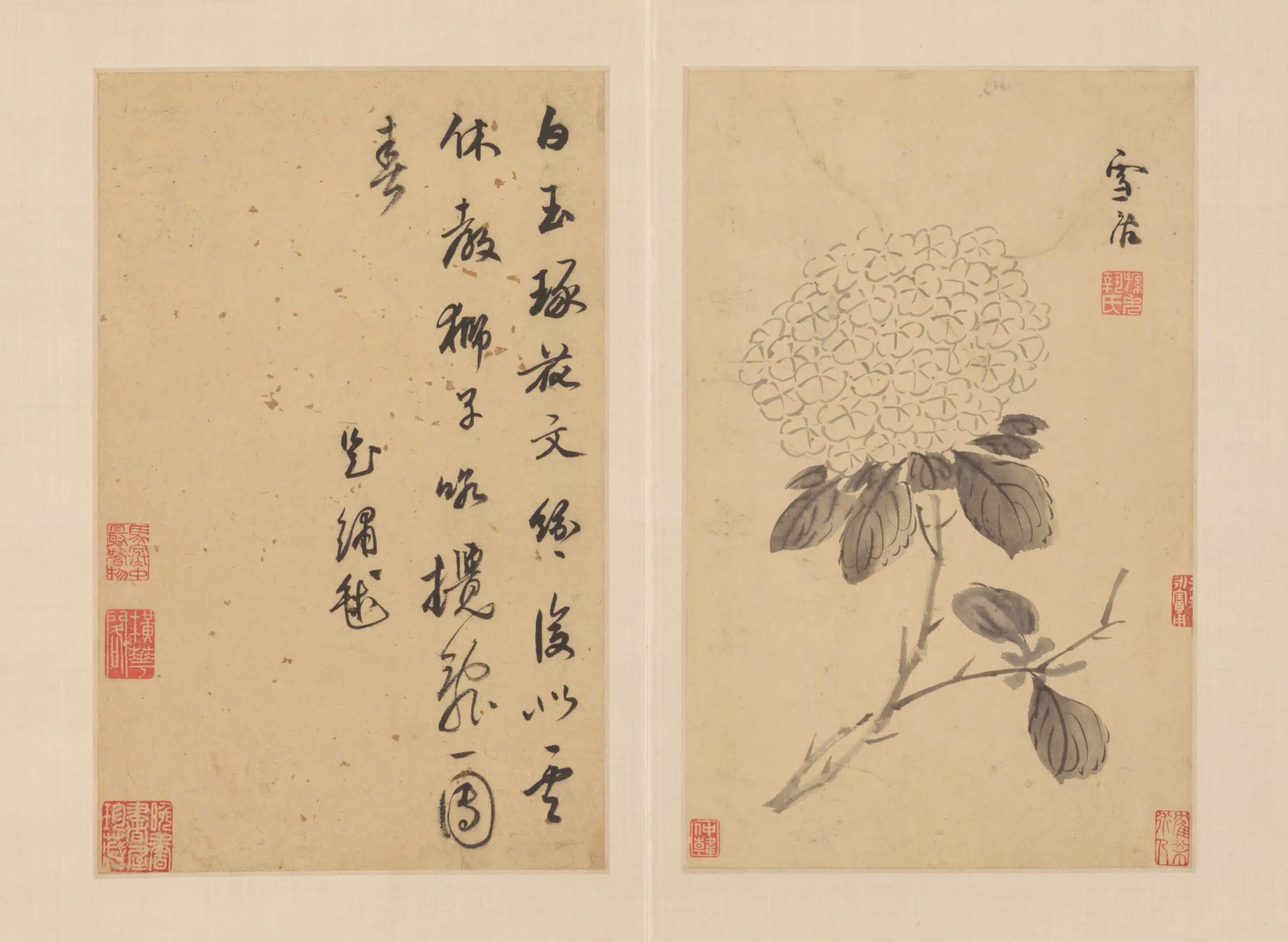 明朝【孙克弘】《花卉图册（11开）》 第11张