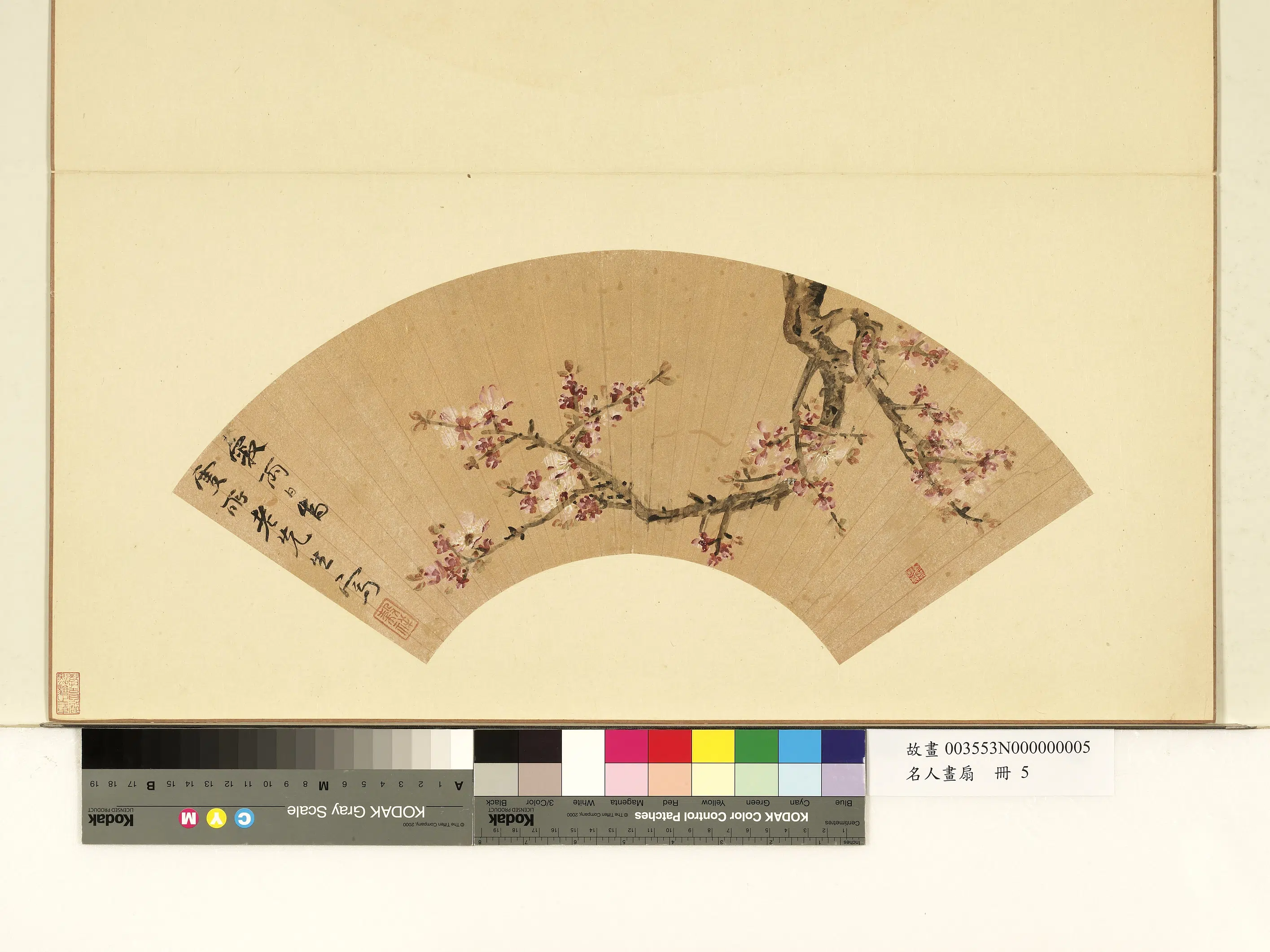 明朝【王谷祥（王穀祥）】《名人画扇（上）册-杏花》