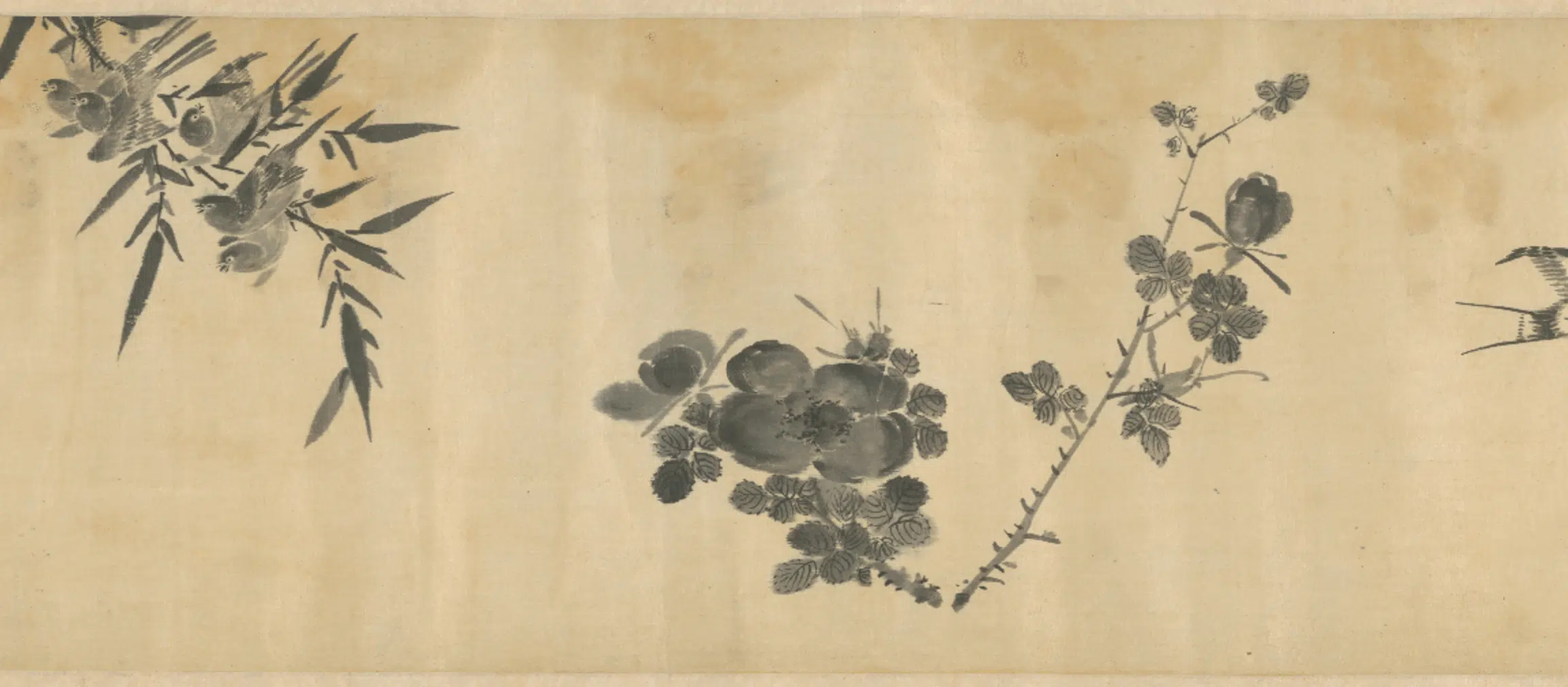 明朝【李因】《花鸟图卷》 第5张
