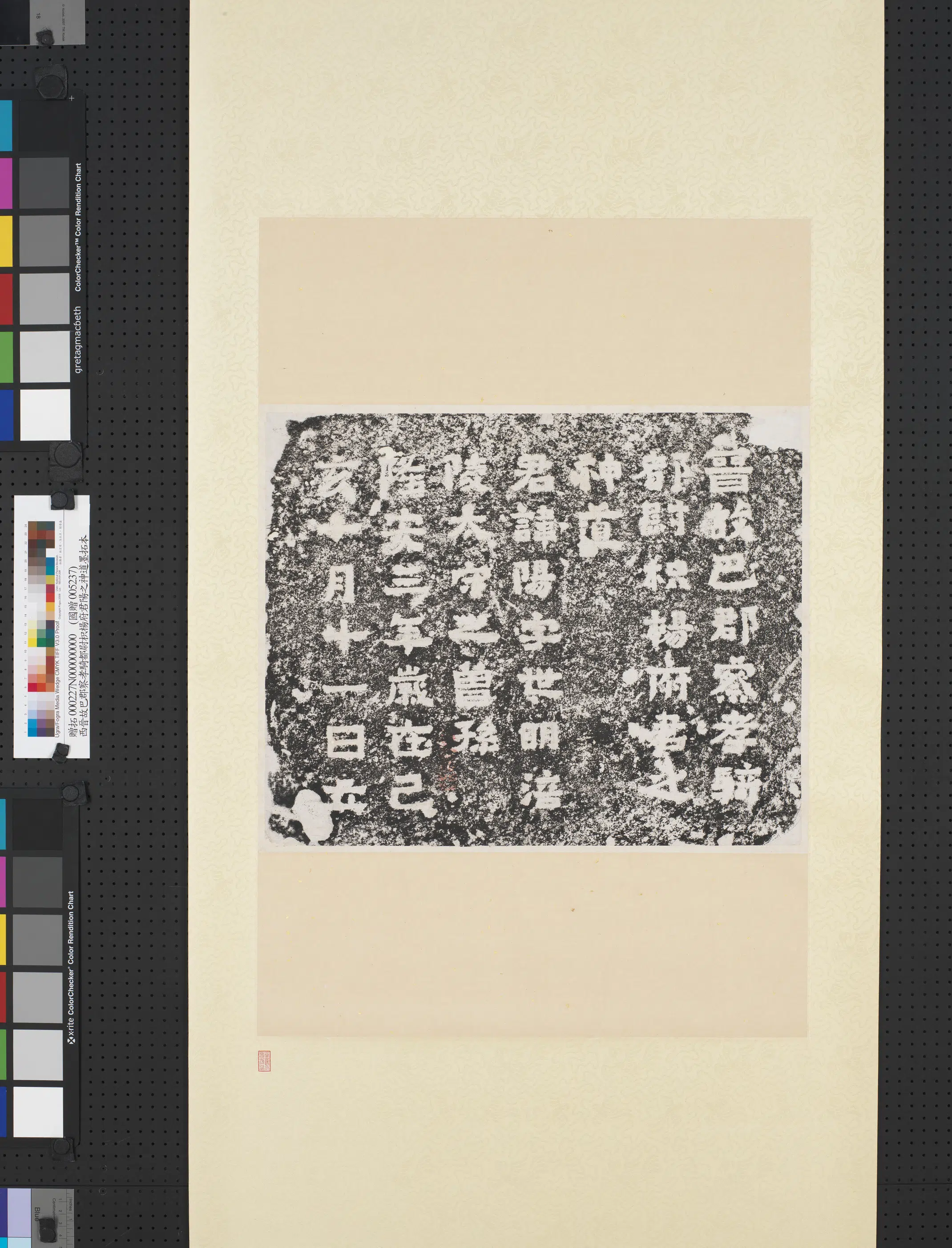《西晋故巴郡察孝骑都尉枳杨府君阳之神道墨拓本图轴》