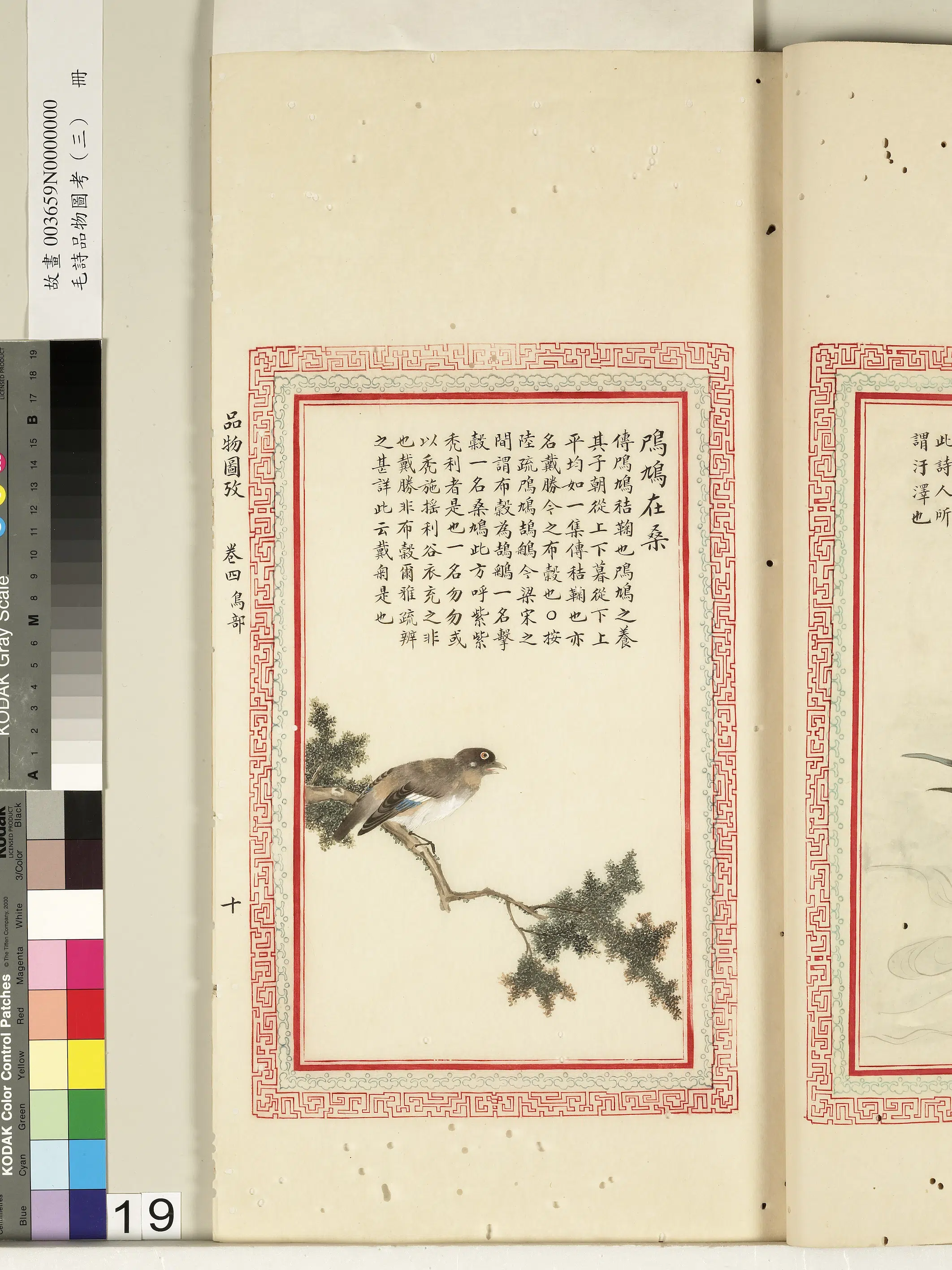 清代《毛诗品物图考（三）册-2》 第54张