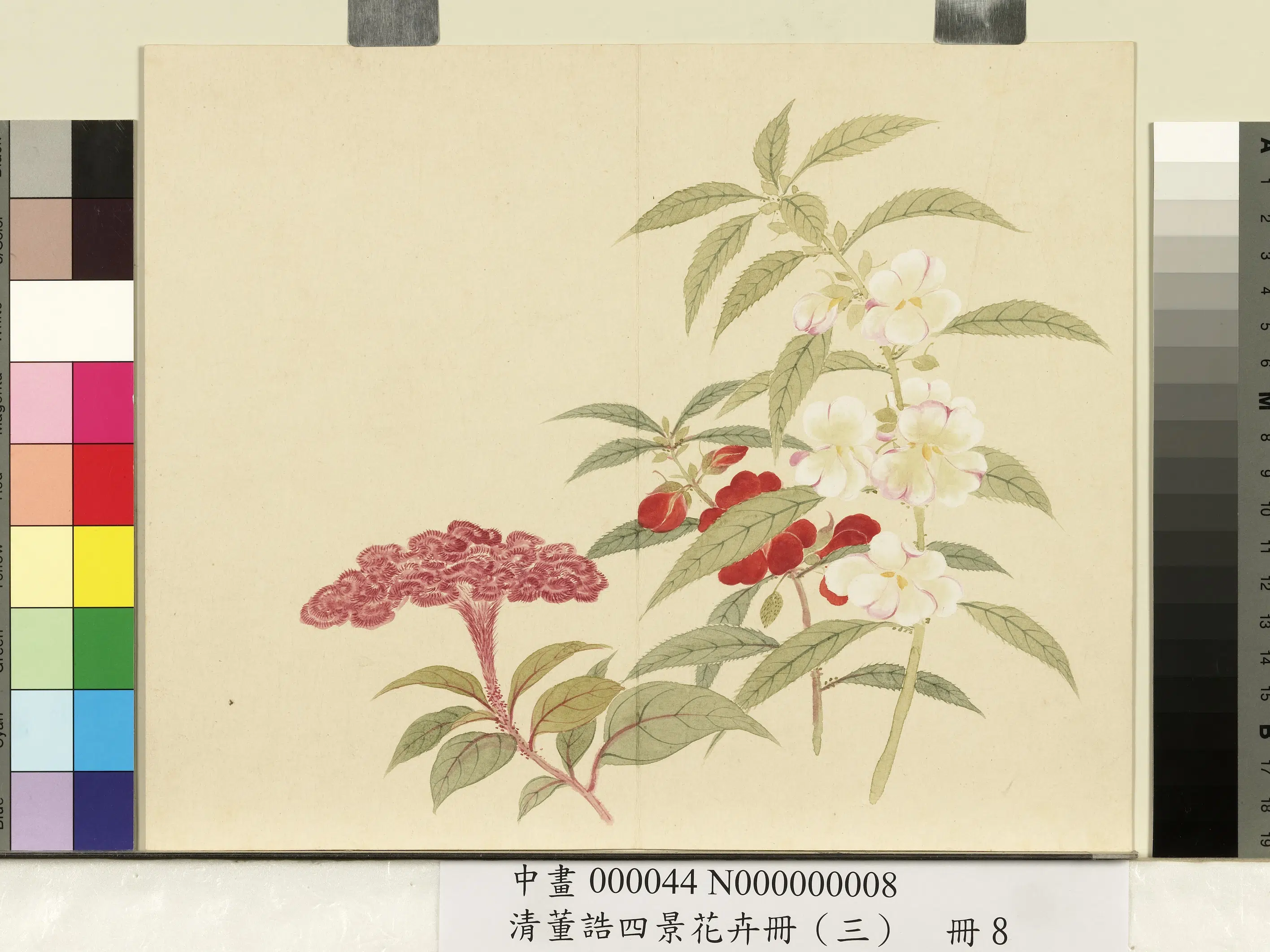 清代【董诰】《四景花卉（三）册》 第7张