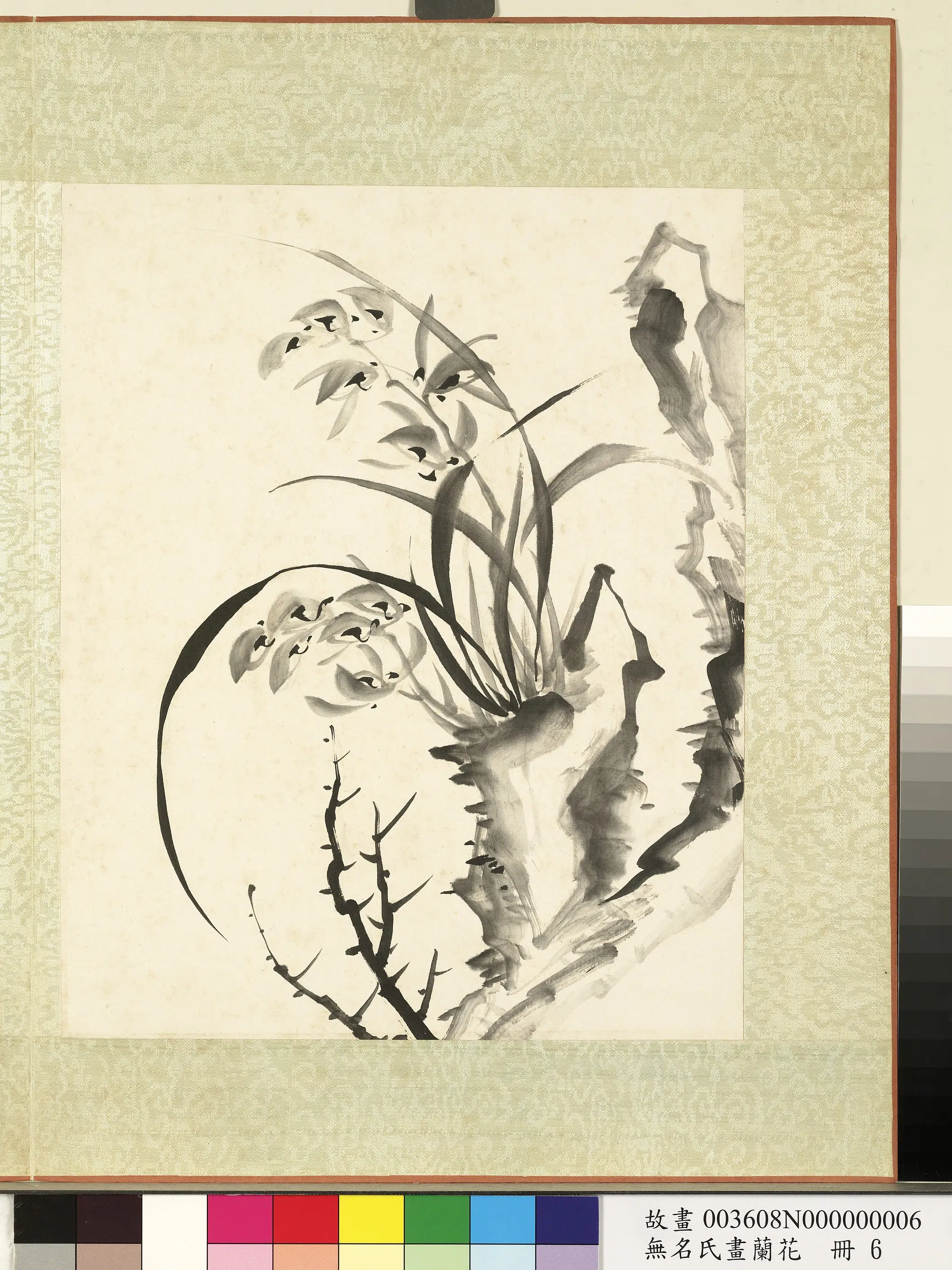 《无名氏画兰花册-兰花（十一）》