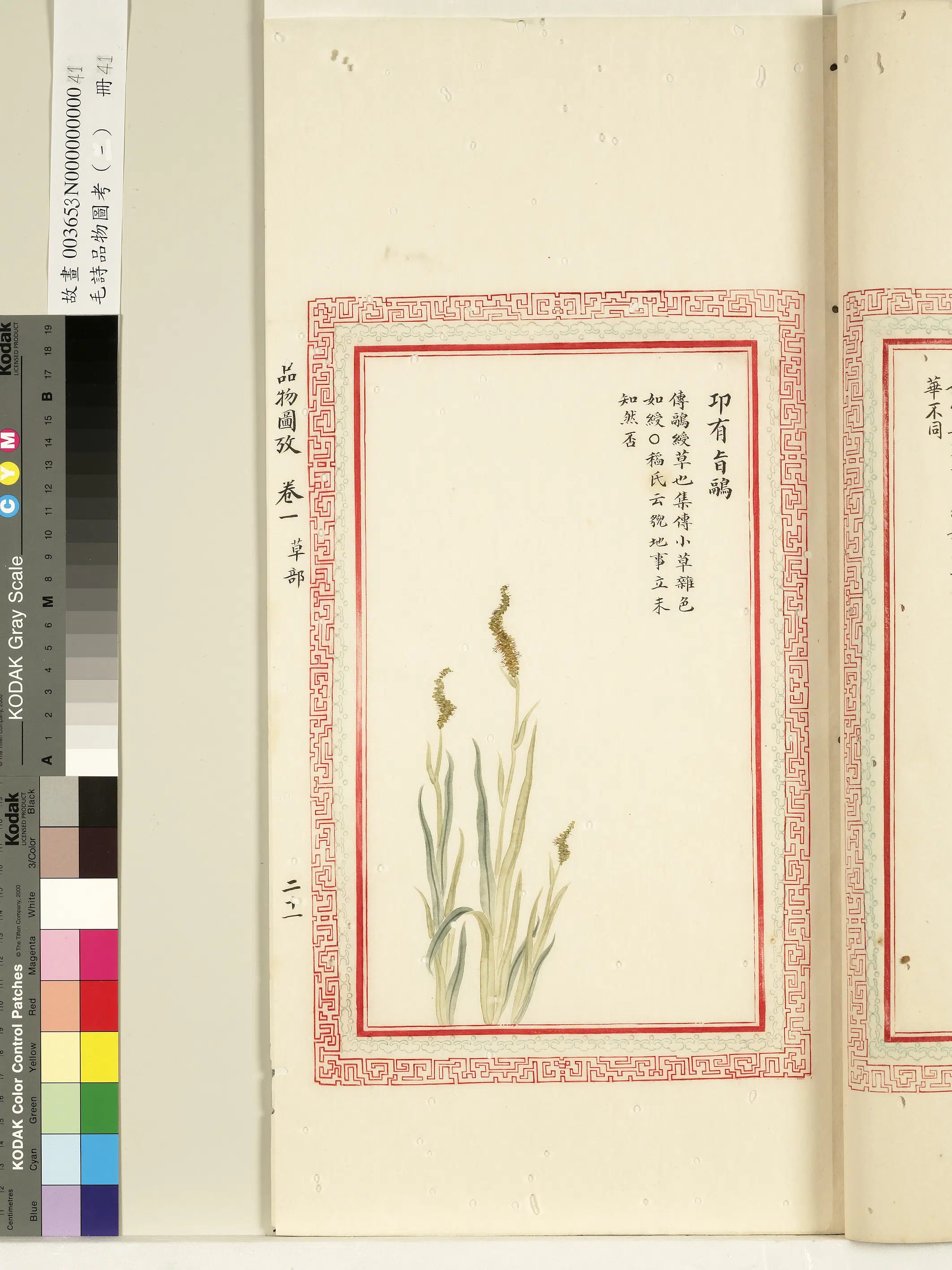 清朝【佚名】《毛诗品物图考（一）册-卭有旨鹝-1》