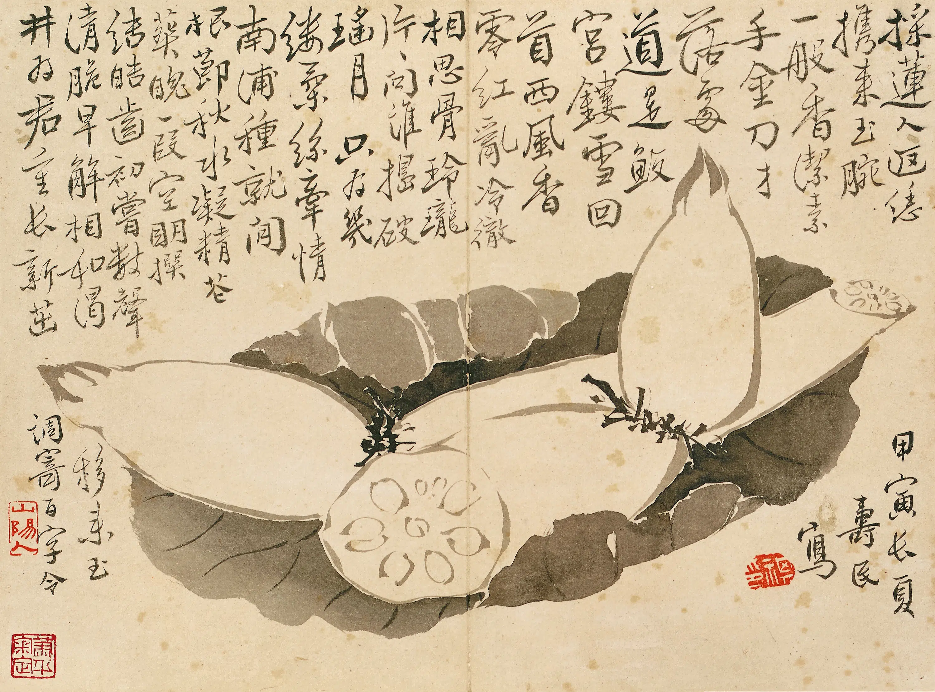 清代【边寿民】《杂画图册》 第7张