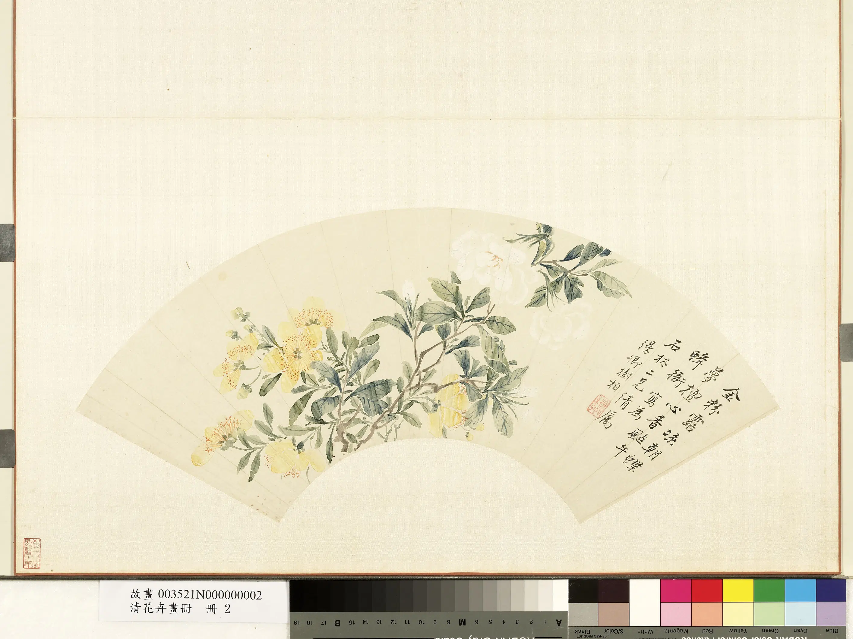 《花卉画册-7》 第7张