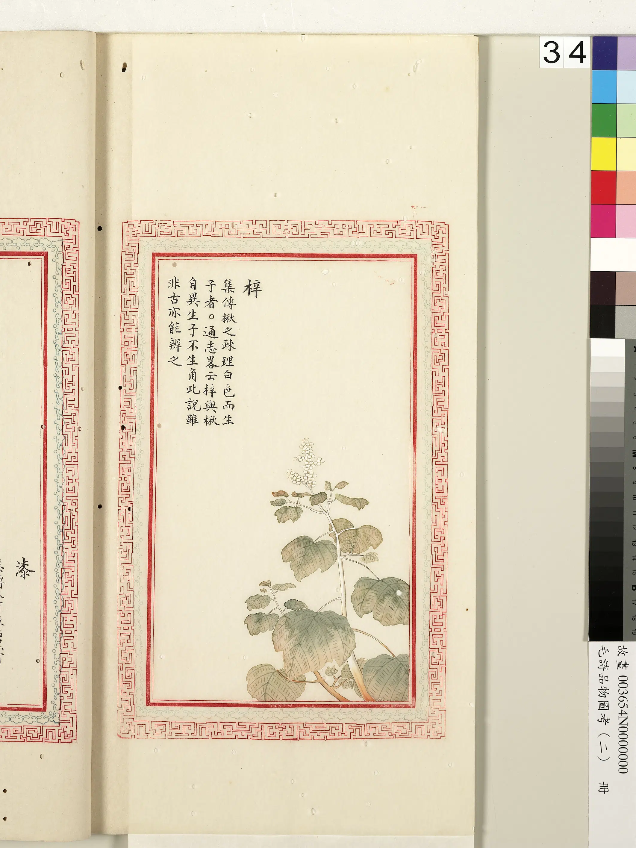 清代《毛诗品物图考(二)册-1》 第33张 清代《毛诗品物图考(二)册-1》 第33张