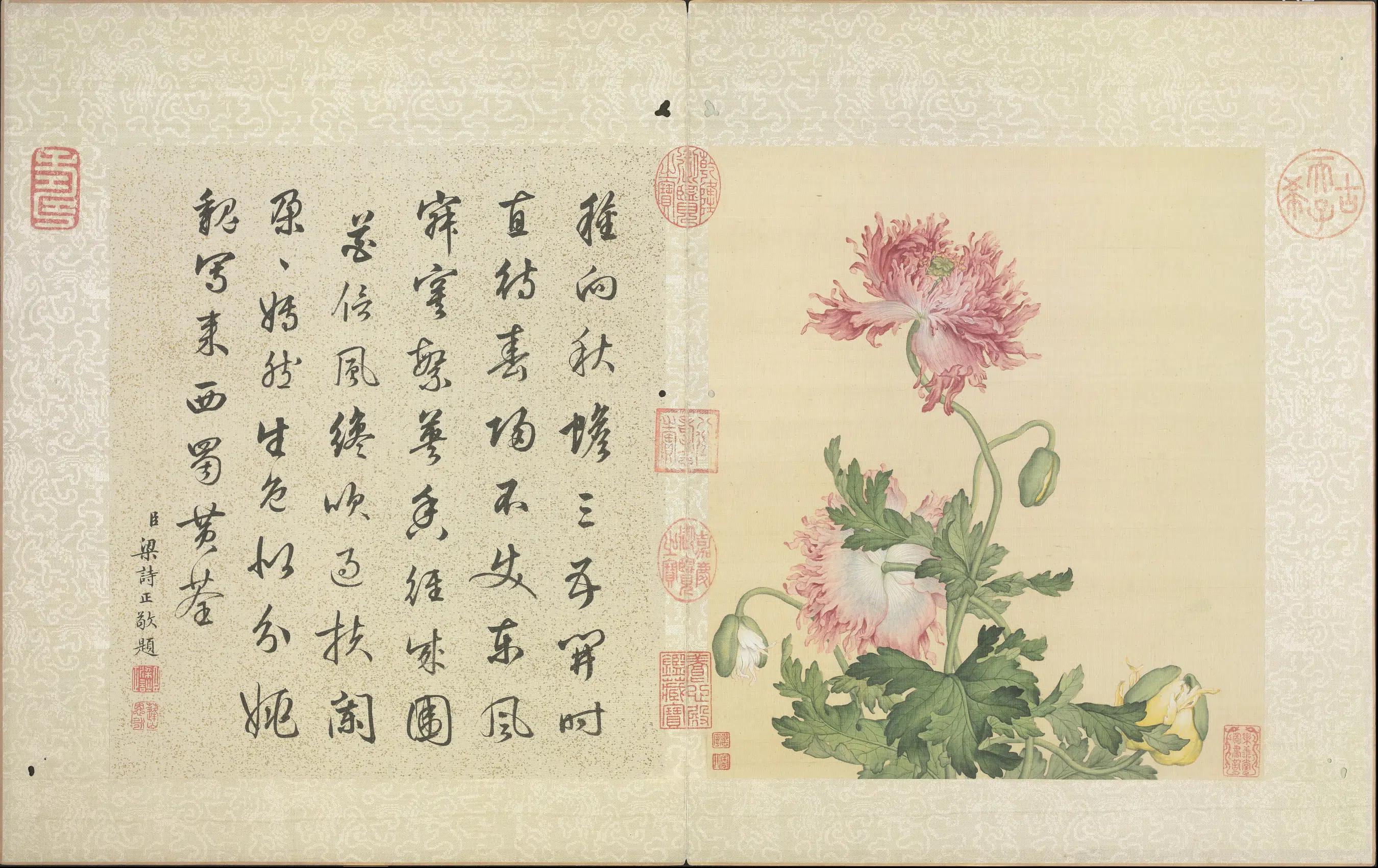 清代【郎世宁】《花鸟册（9开）》 第3张