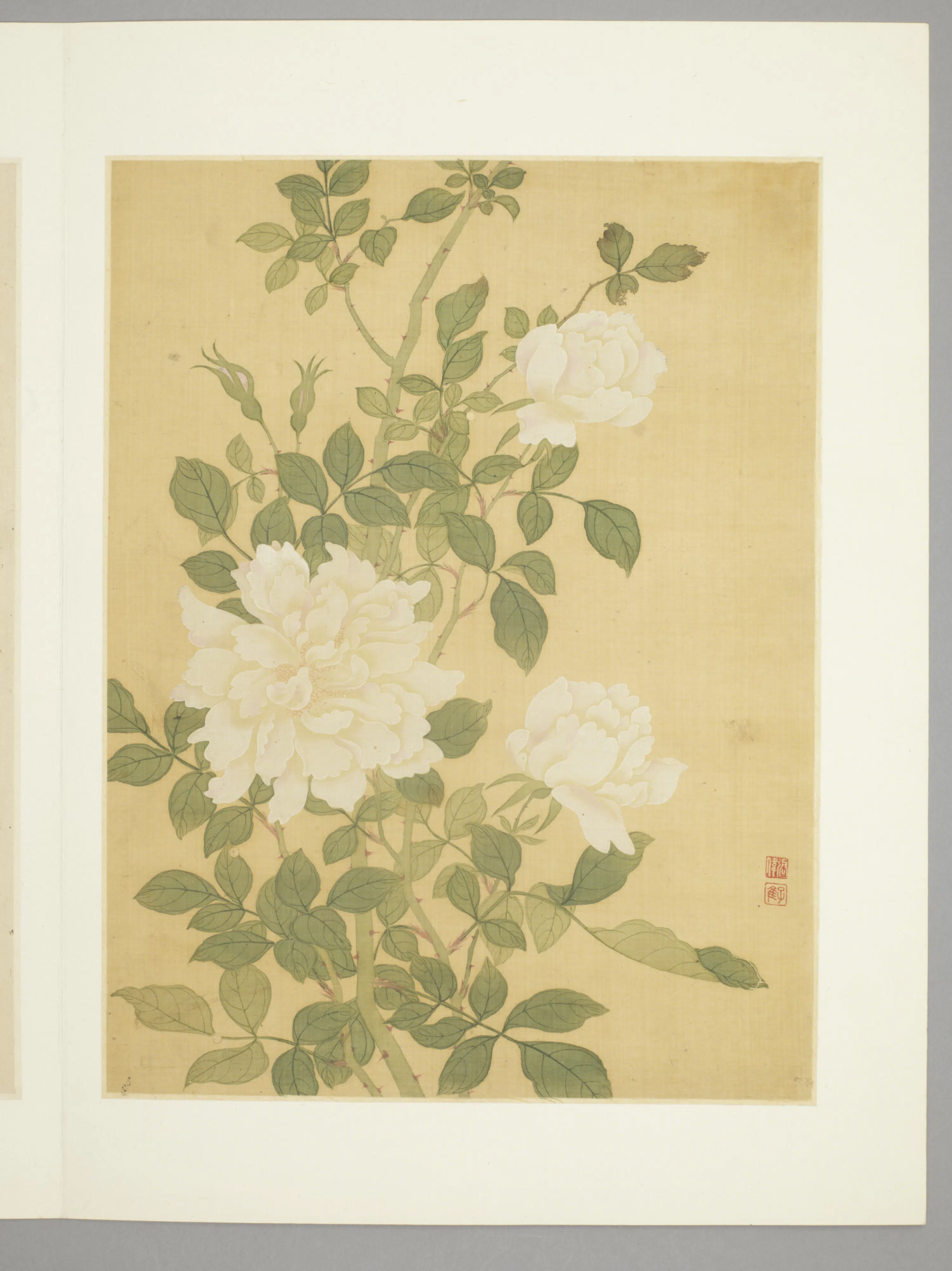 清代【张伟】《花卉册（9开）》 第6张