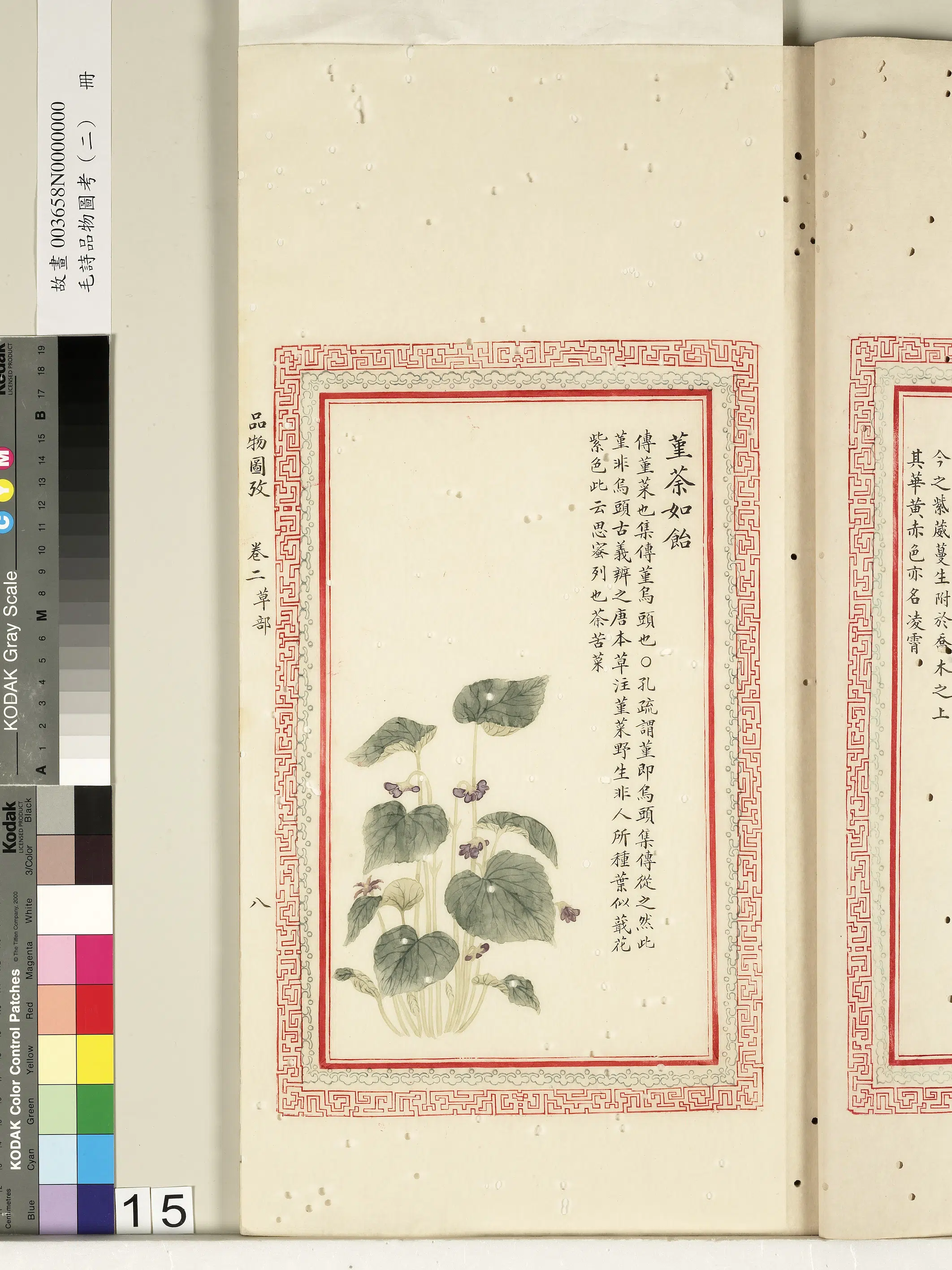 清代《毛诗品物图考（二）册-2》 第17张