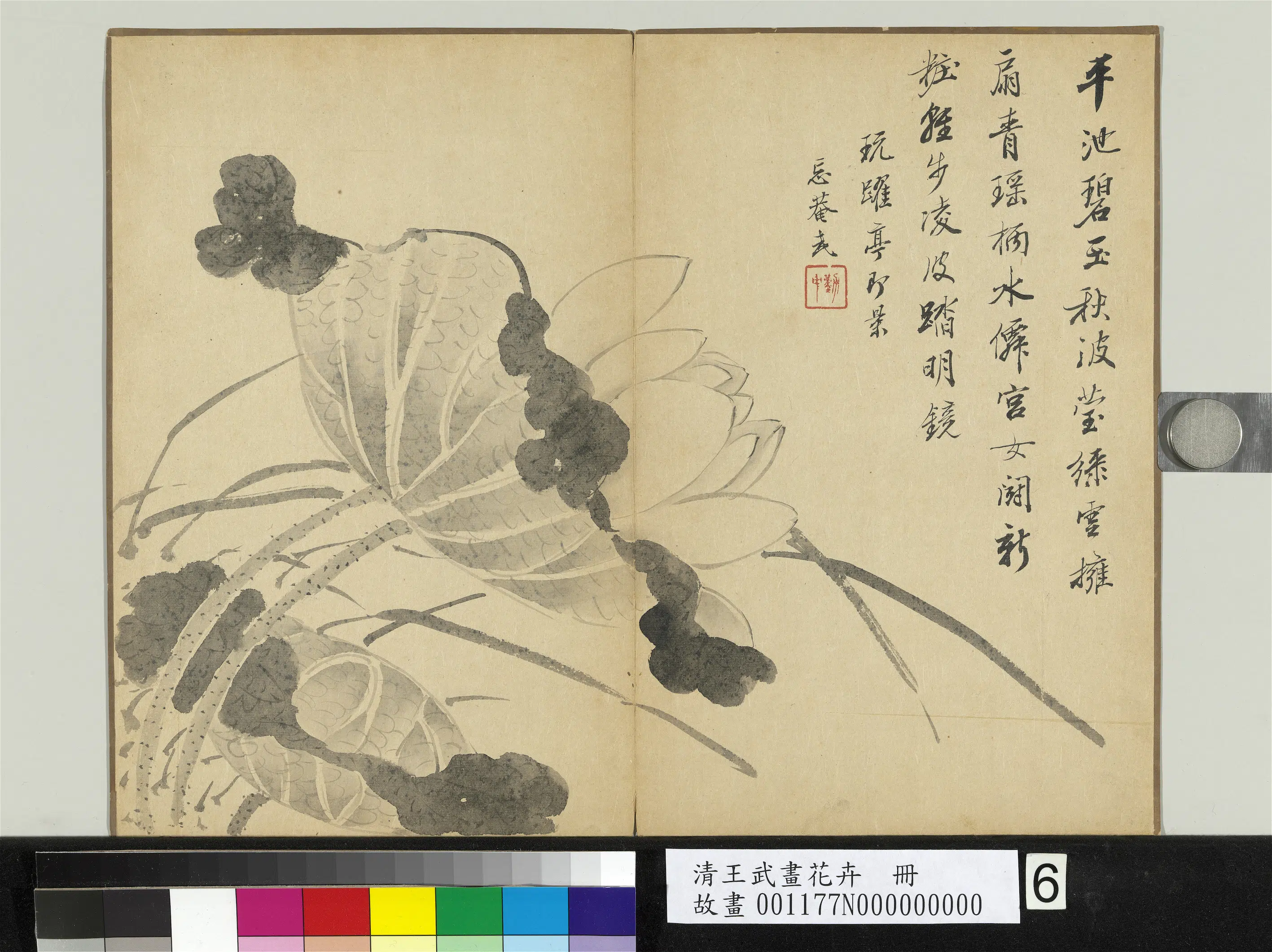清代【王武】《画花卉册》 第10张