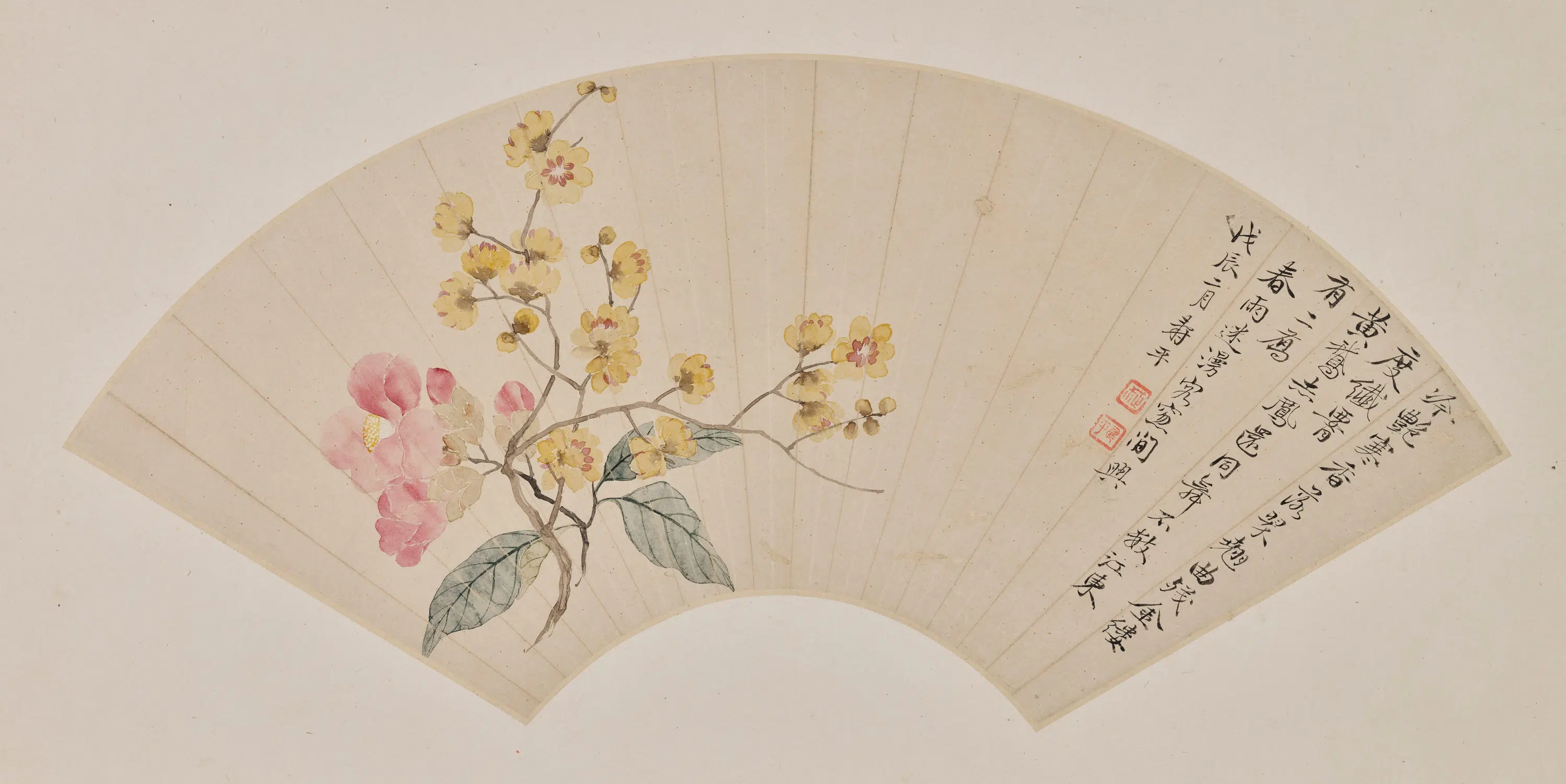 清代【恽寿平】《茶花蜡梅图》