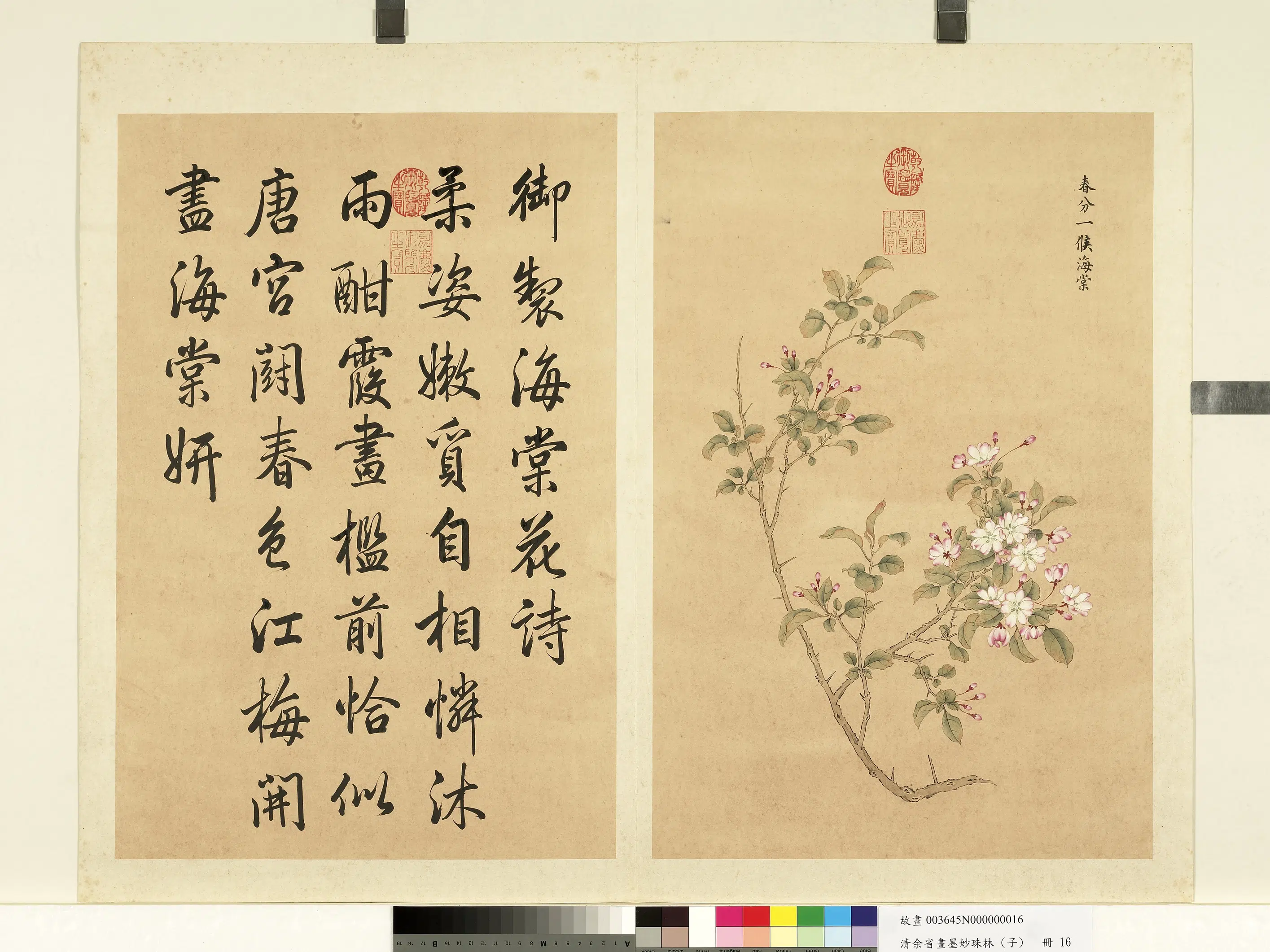 清代【余省】《画墨妙珠林（子）册》 第10张