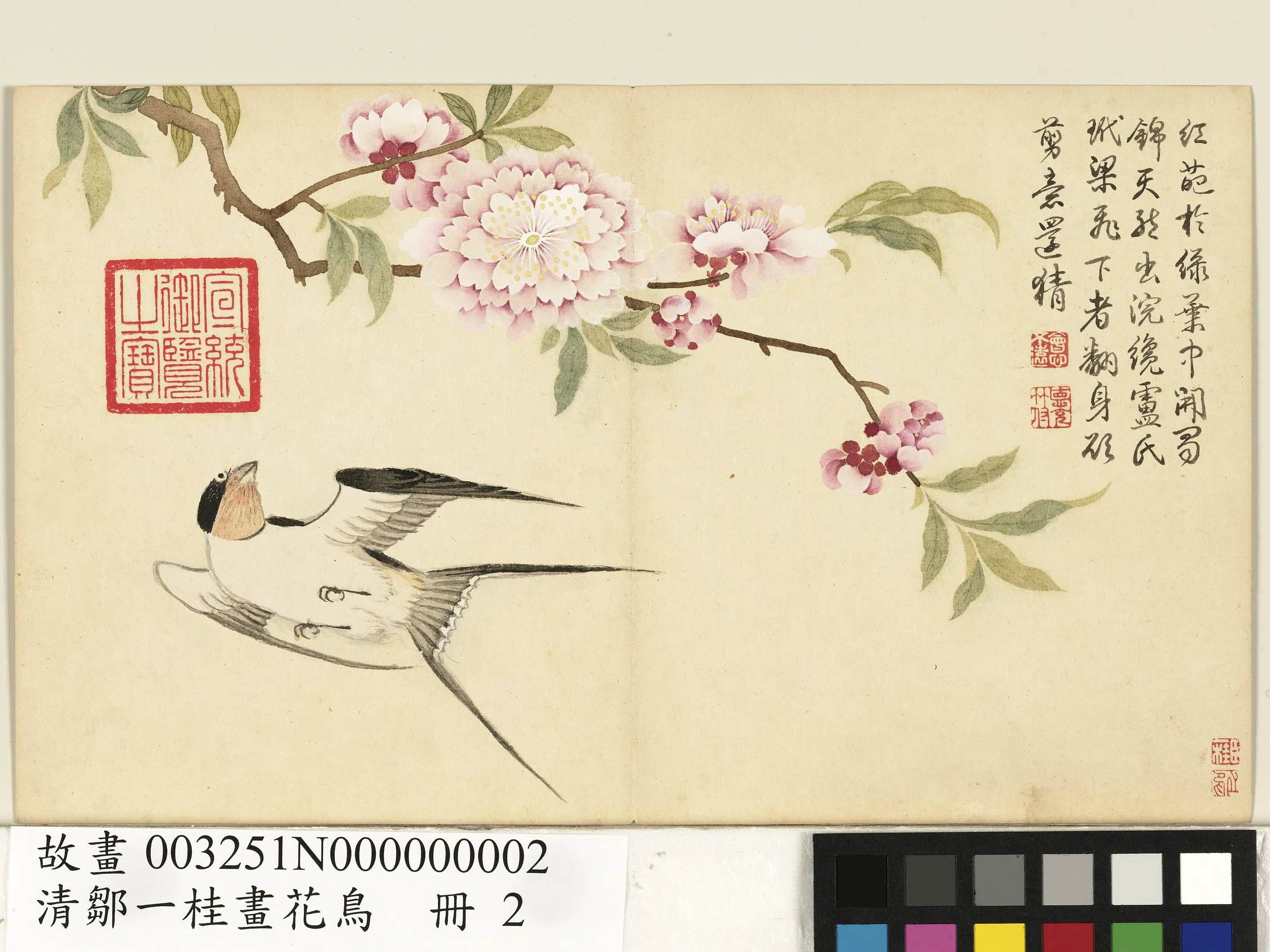 清代【邹一桂】《画花鸟册》 第5张 清代【邹一桂】《画花鸟册》 第5张
