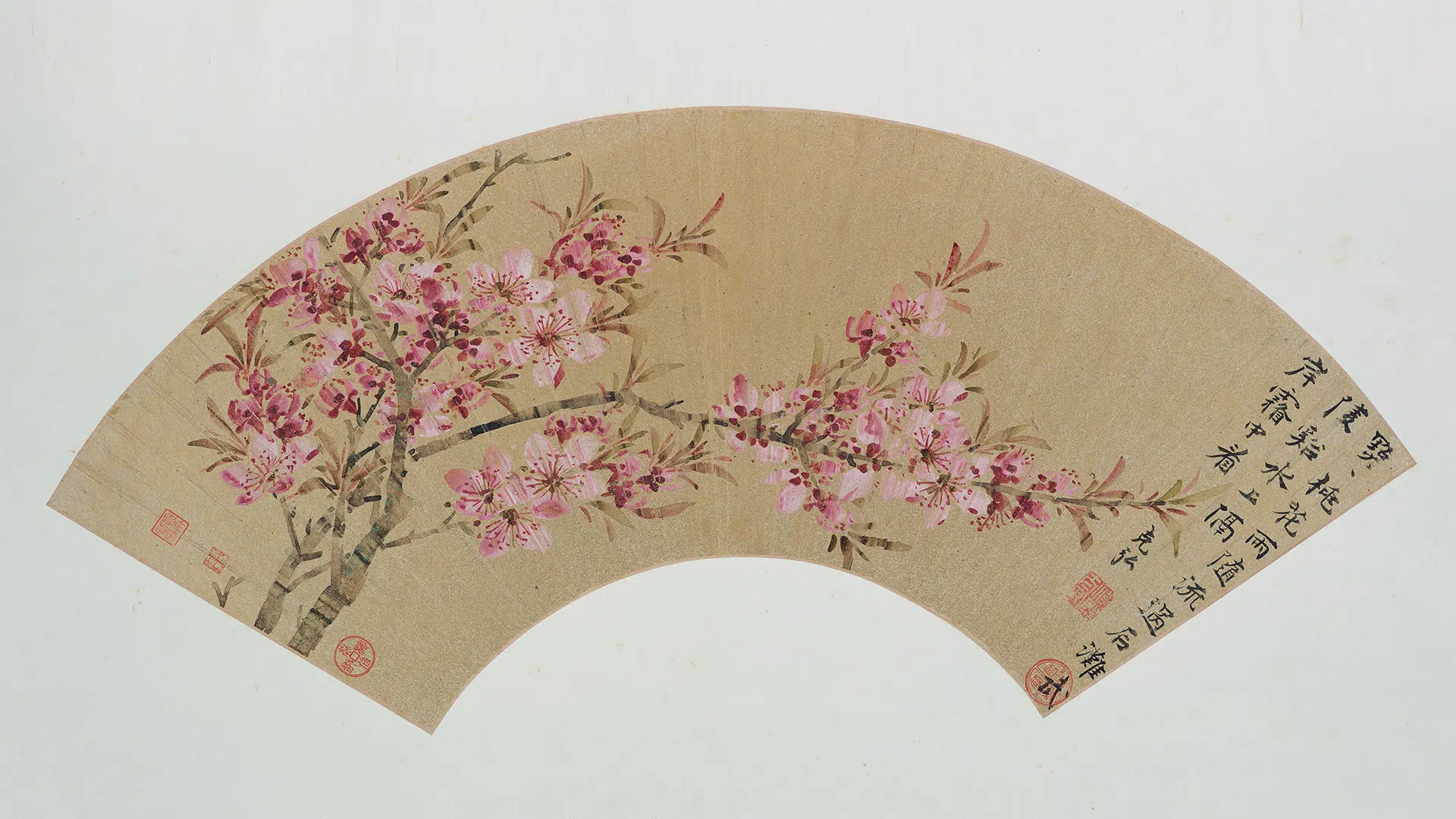明朝【孙克弘】《花鸟扇册》