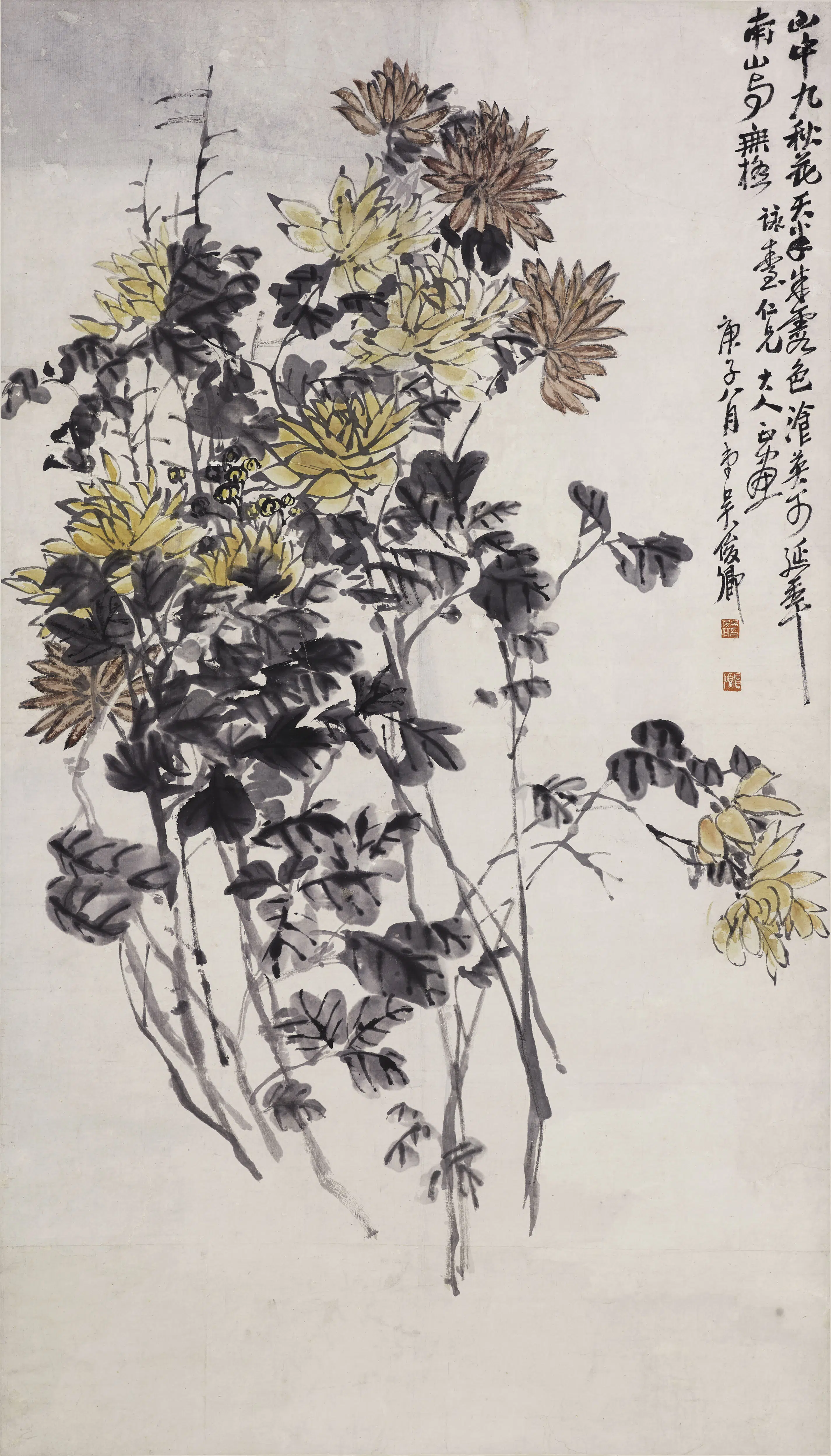 清代【吴昌硕】《菊花图轴-4》
