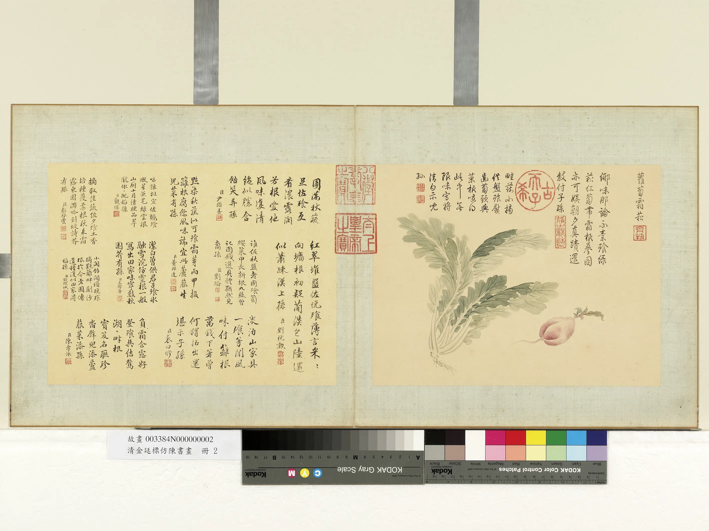 清代【金廷标】《仿陈书画册-萝卜霜松》