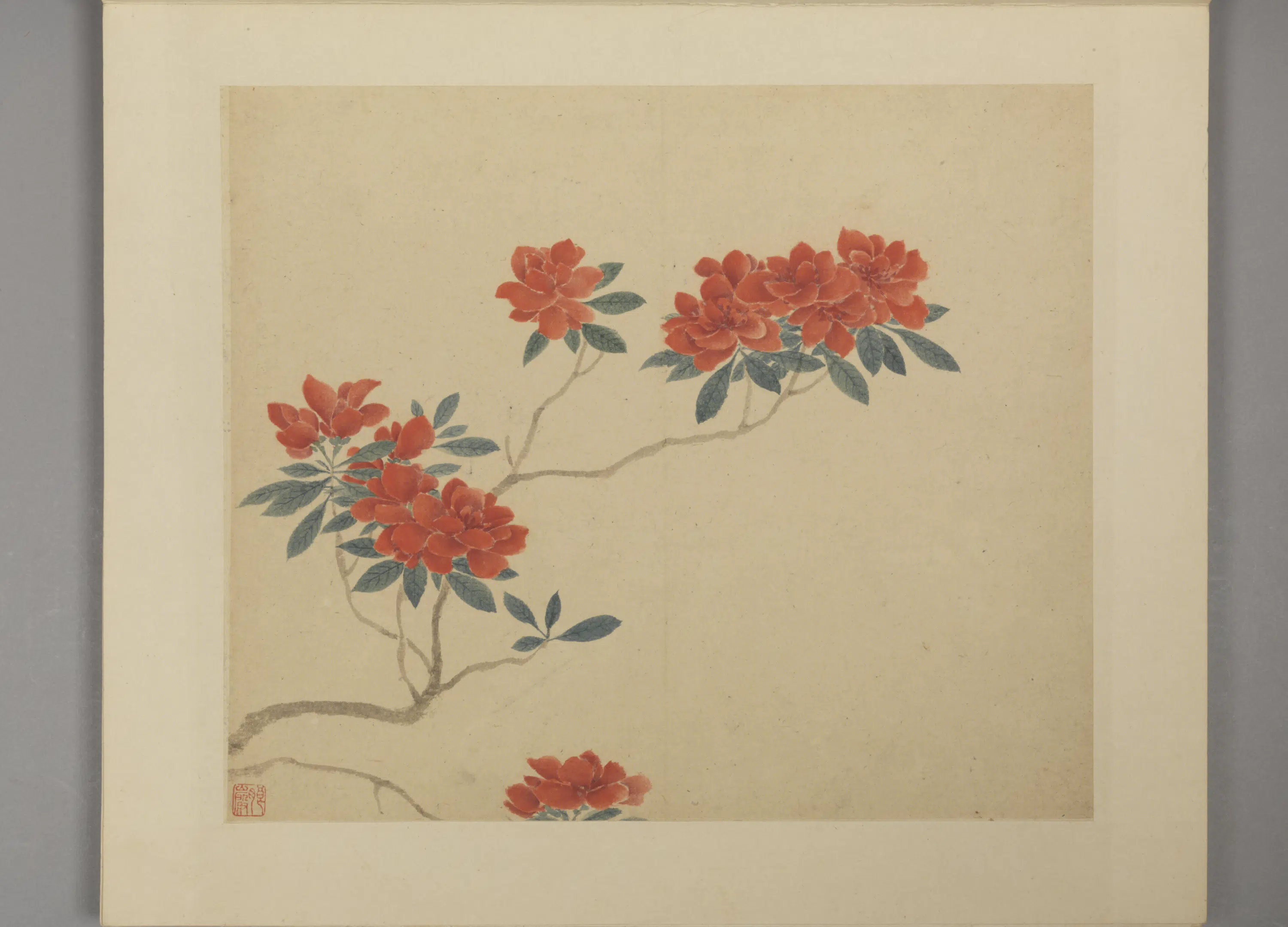 明朝【凌必正】《花鸟册》