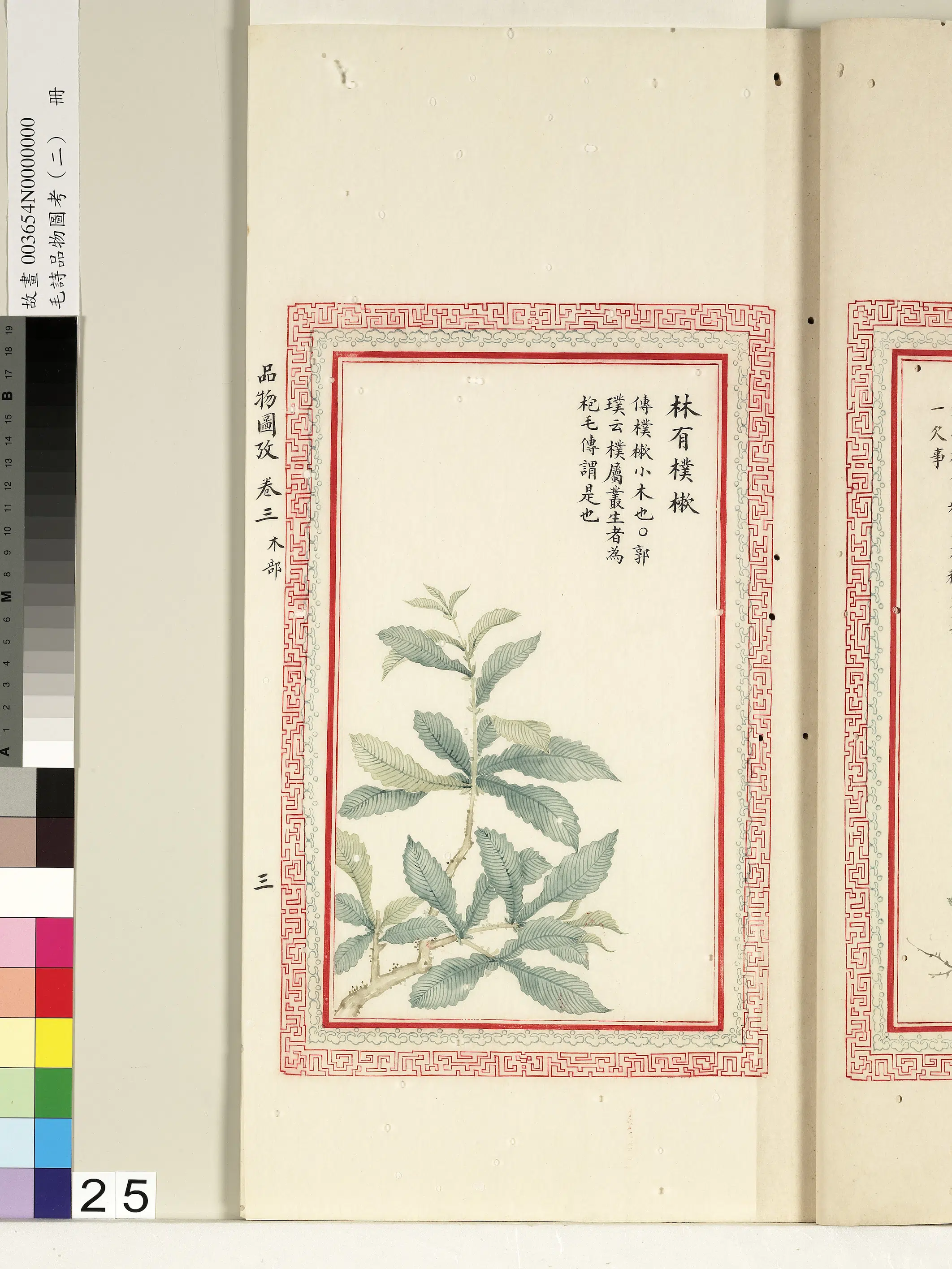 清代《毛诗品物图考(二)册-1》 第27张 清代《毛诗品物图考(二)册-1》 第27张
