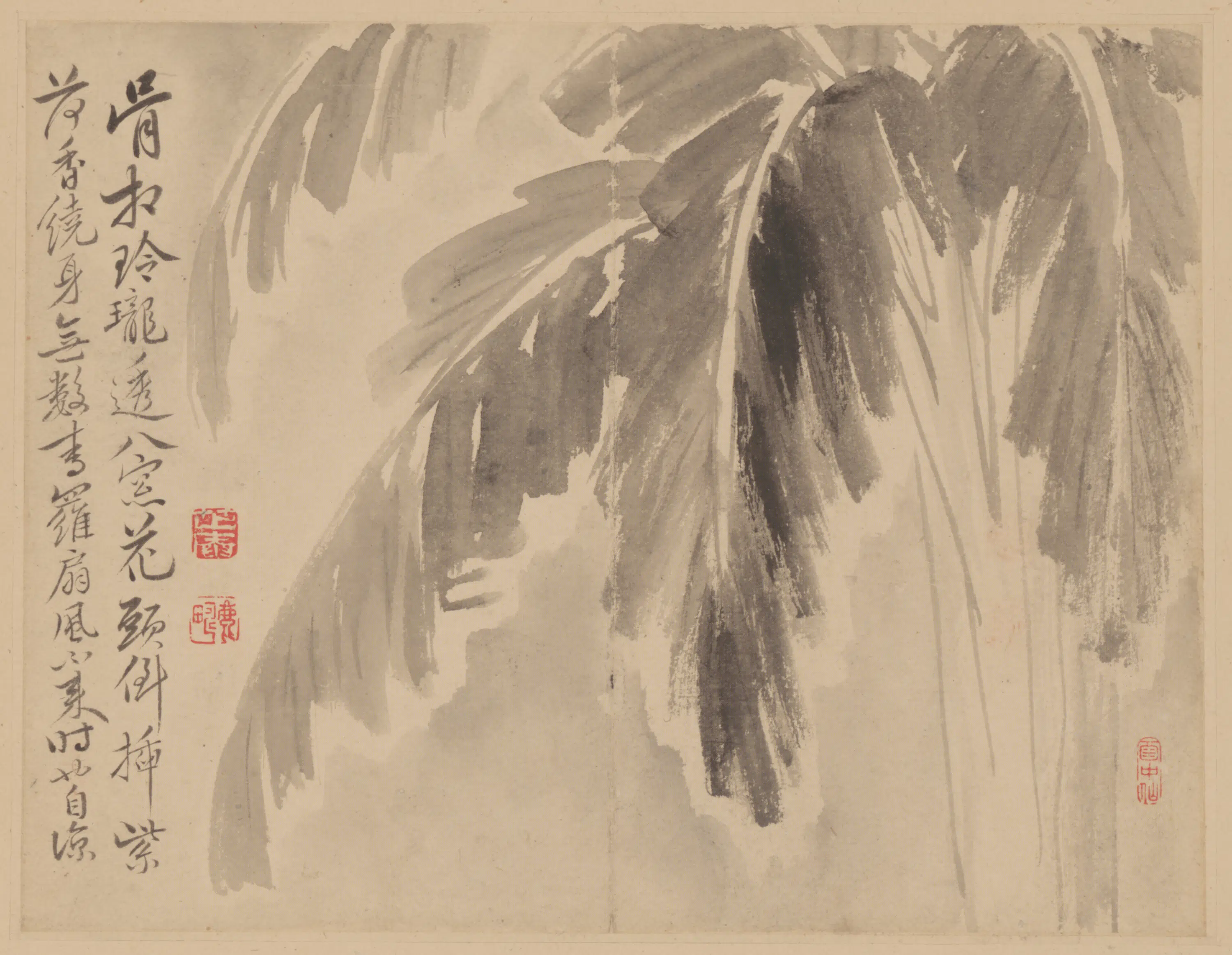清代【范廷镇】《花卉册》 第2张 清代【范廷镇】《花卉册》 第2张