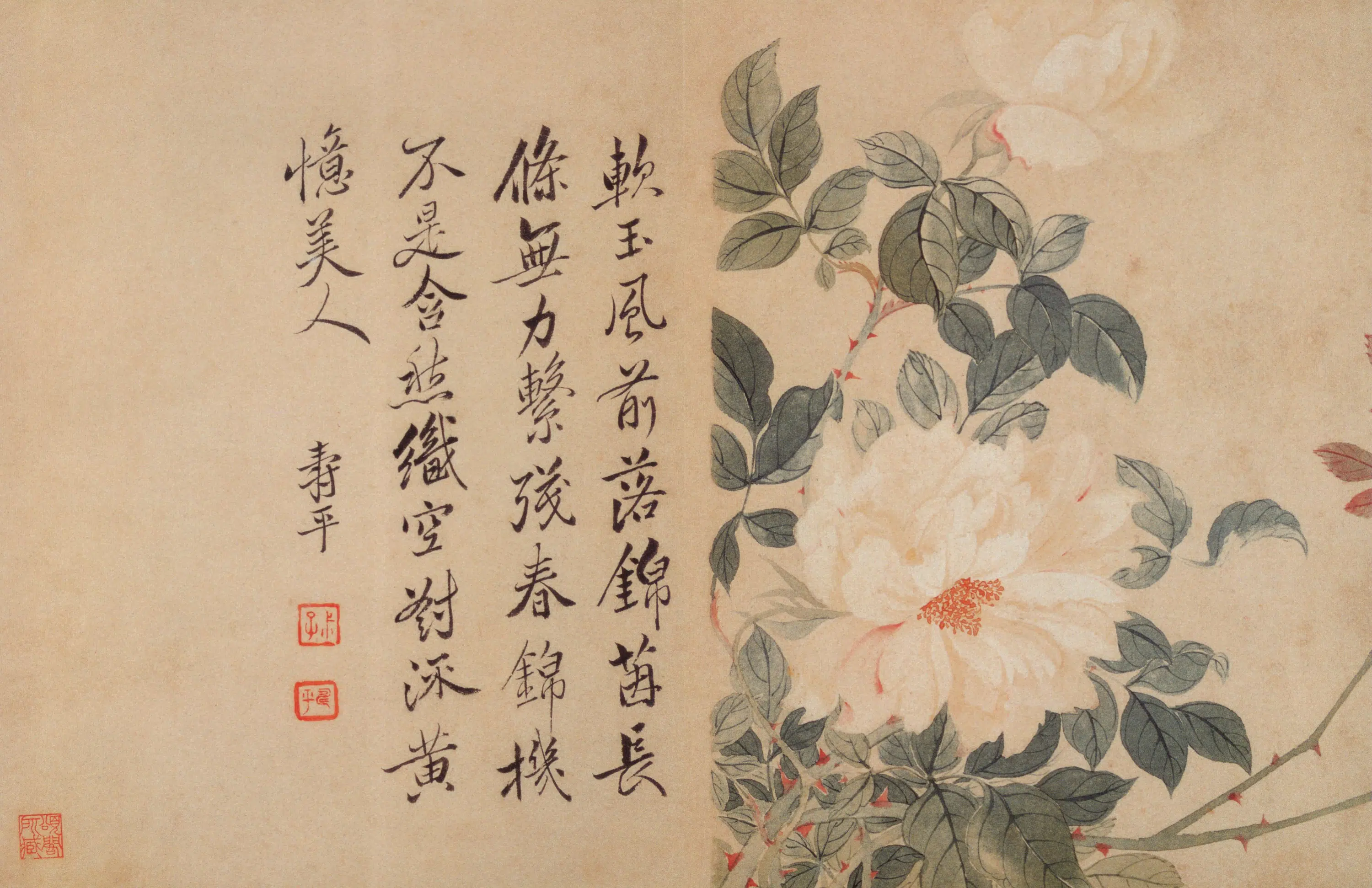清代【恽寿平】《山水花卉神品册-11开》 第4张