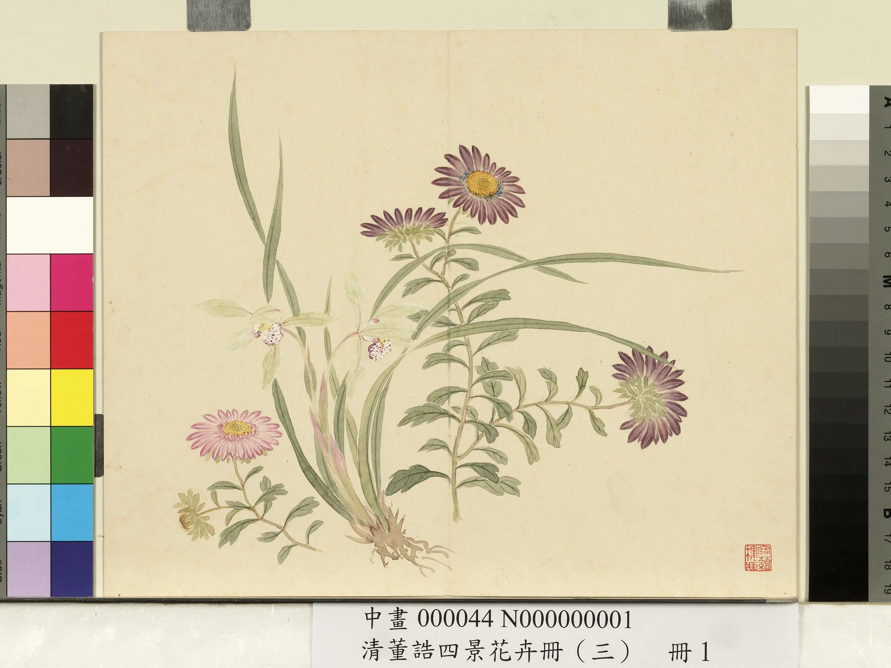 清代【董诰】《四景花卉(三)册-秋景花卉之一》 第1张 清代【董诰】《四景花卉(三)册-秋景花卉之一》 第1张