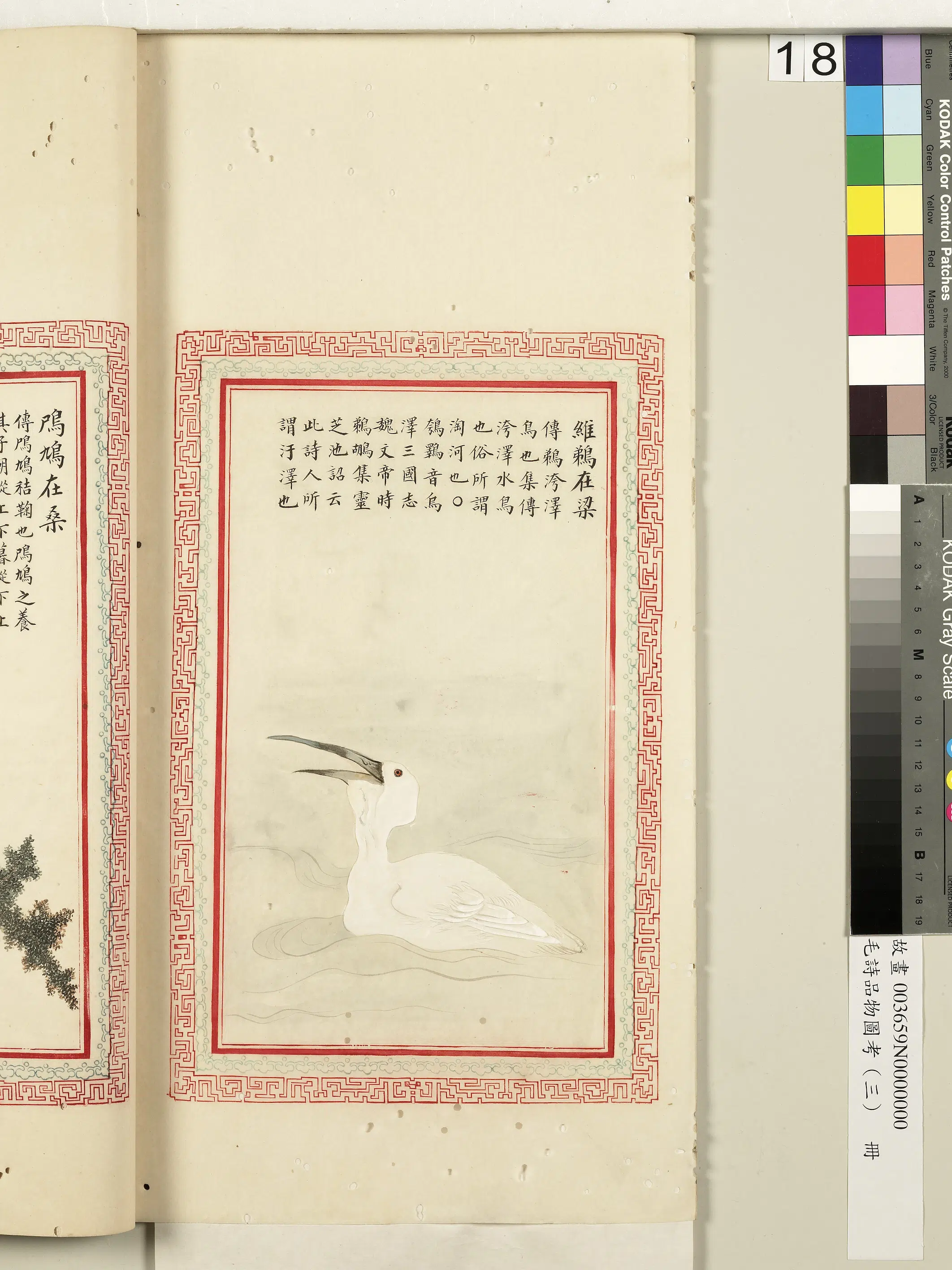 清代《毛诗品物图考(三)册-2》 第34张 清代《毛诗品物图考(三)册-2》 第34张