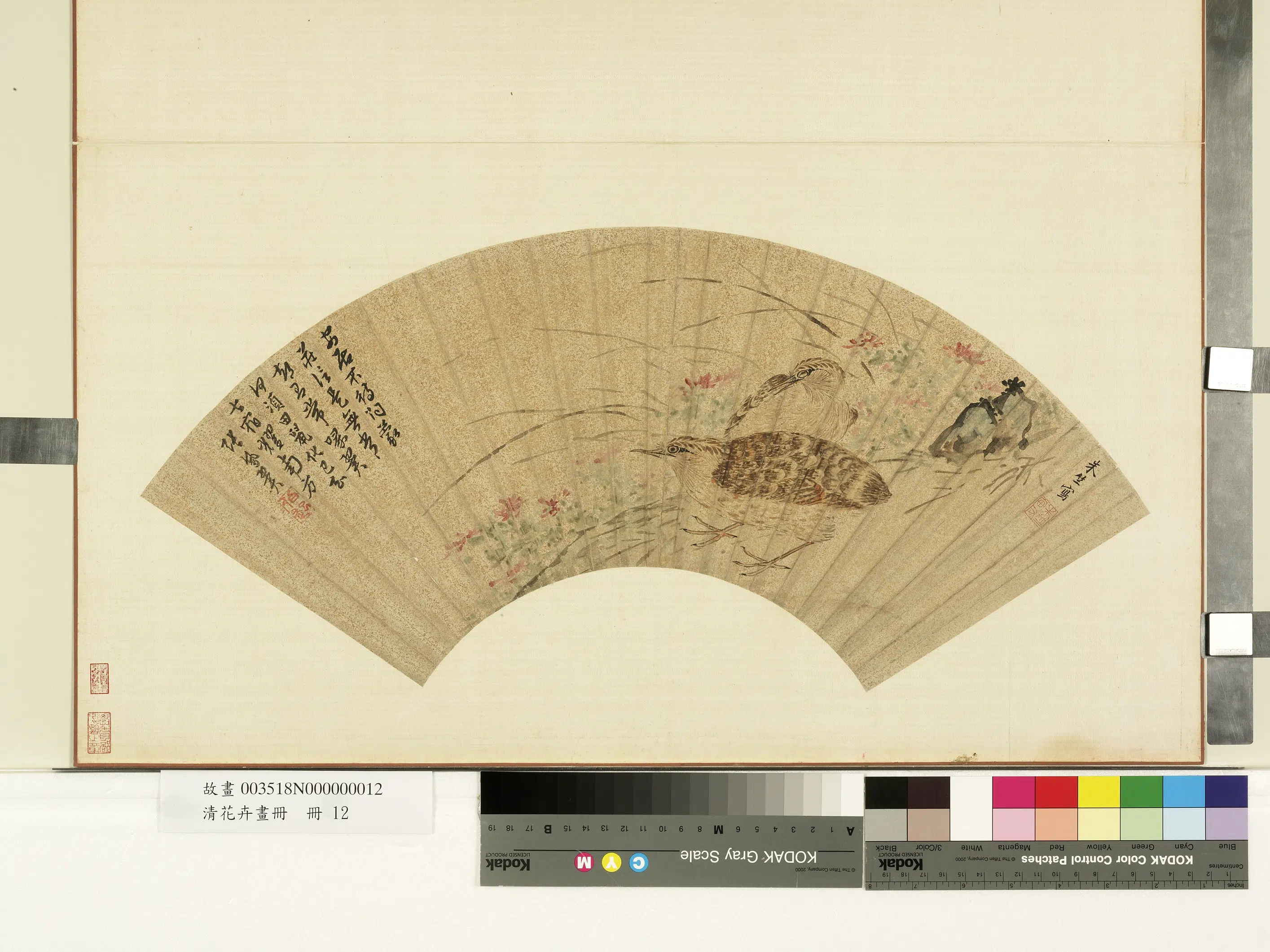《花卉画册-4》 第2张